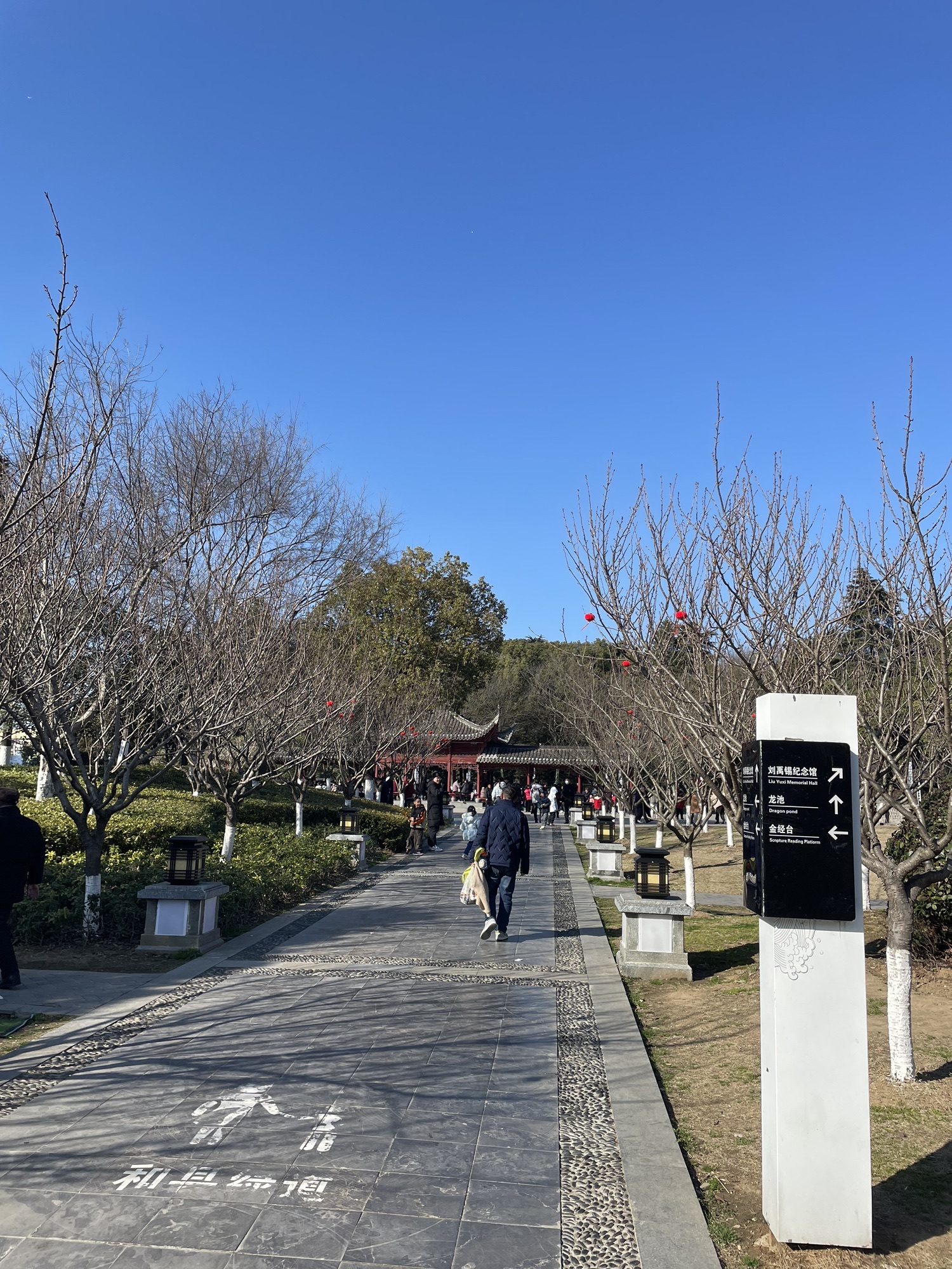 陋室公园旅行图片