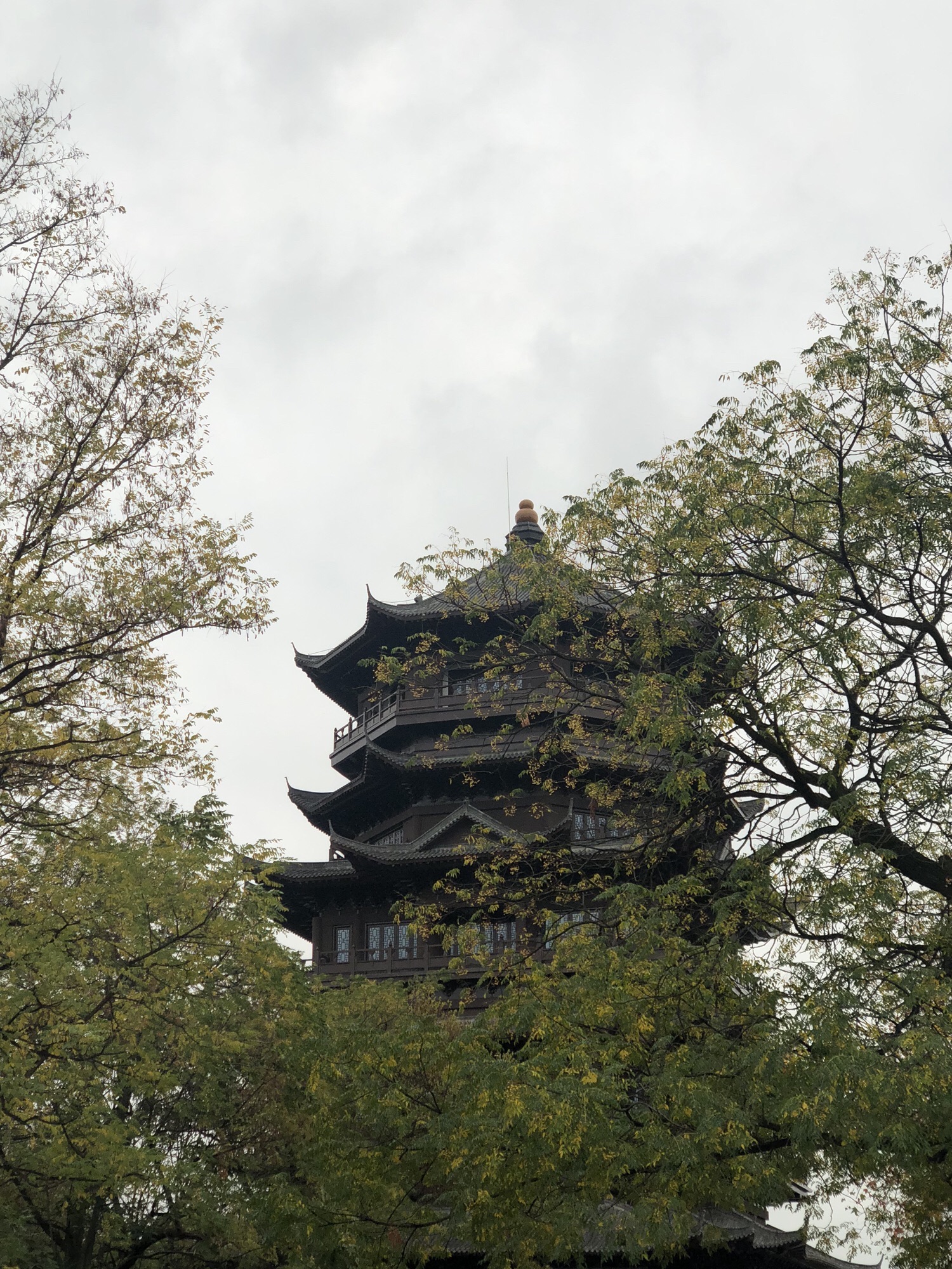 卧牛山公园旅行图片