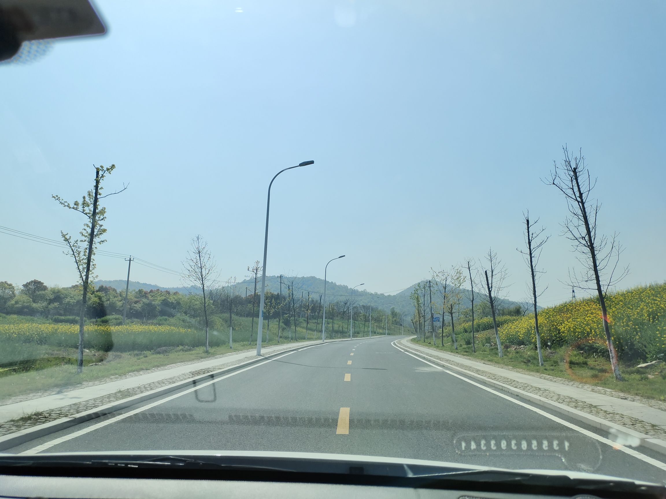 东庵森林公园旅行图片