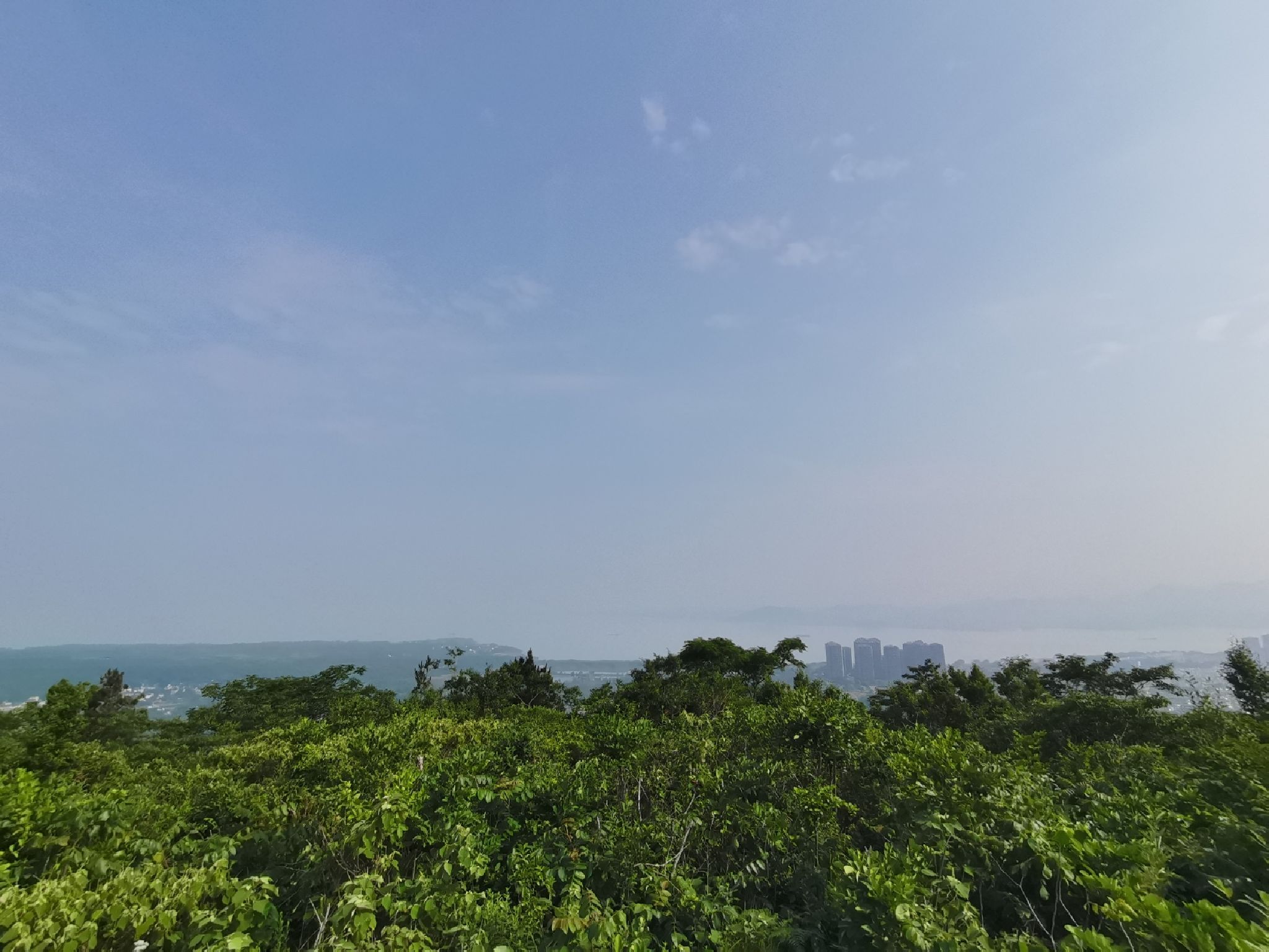 东庵森林公园旅行图片