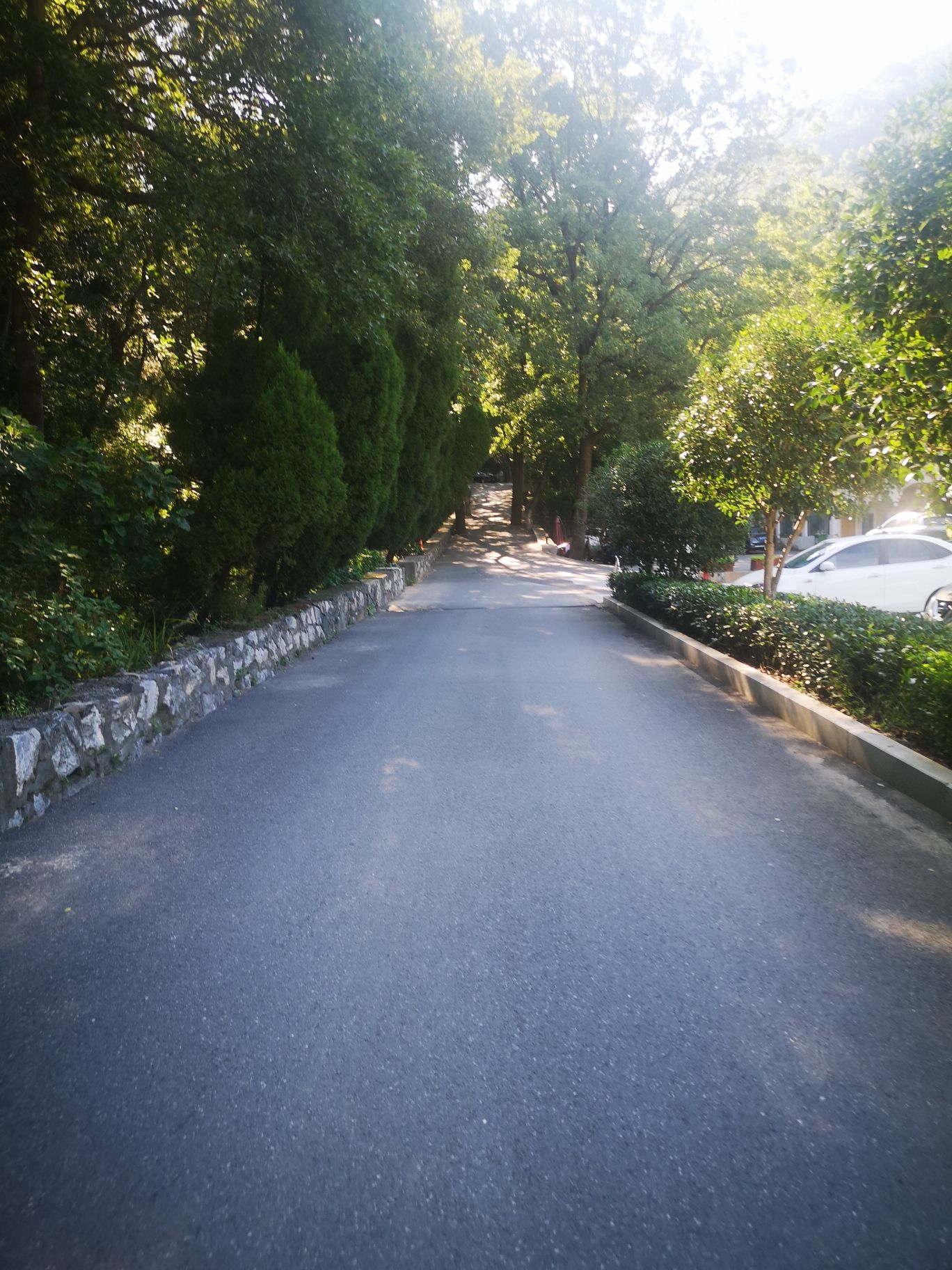 东庵森林公园旅行图片