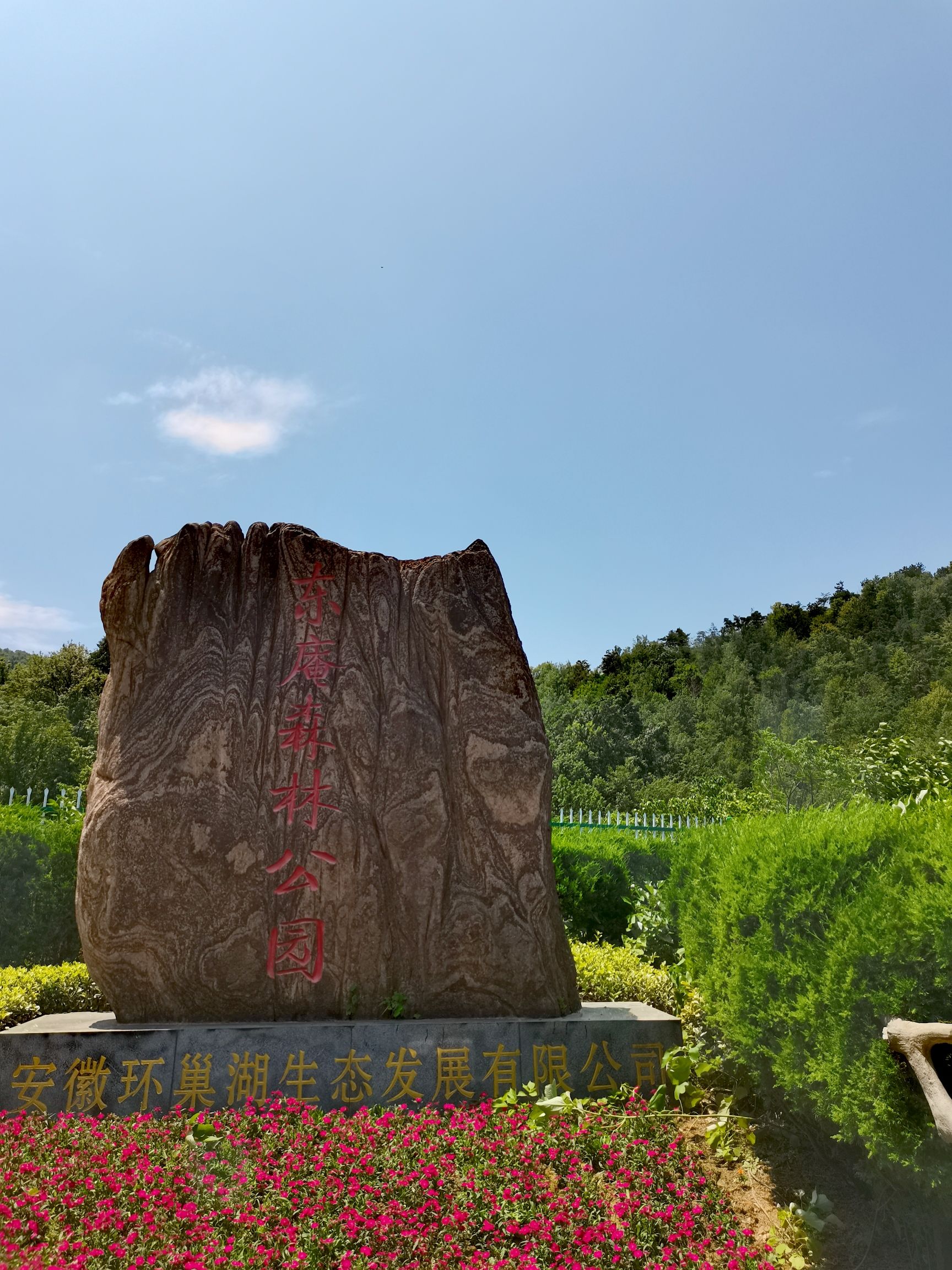 东庵森林公园旅行图片