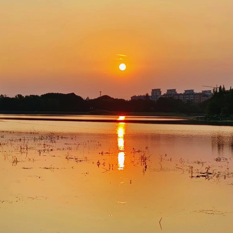 无为植物园