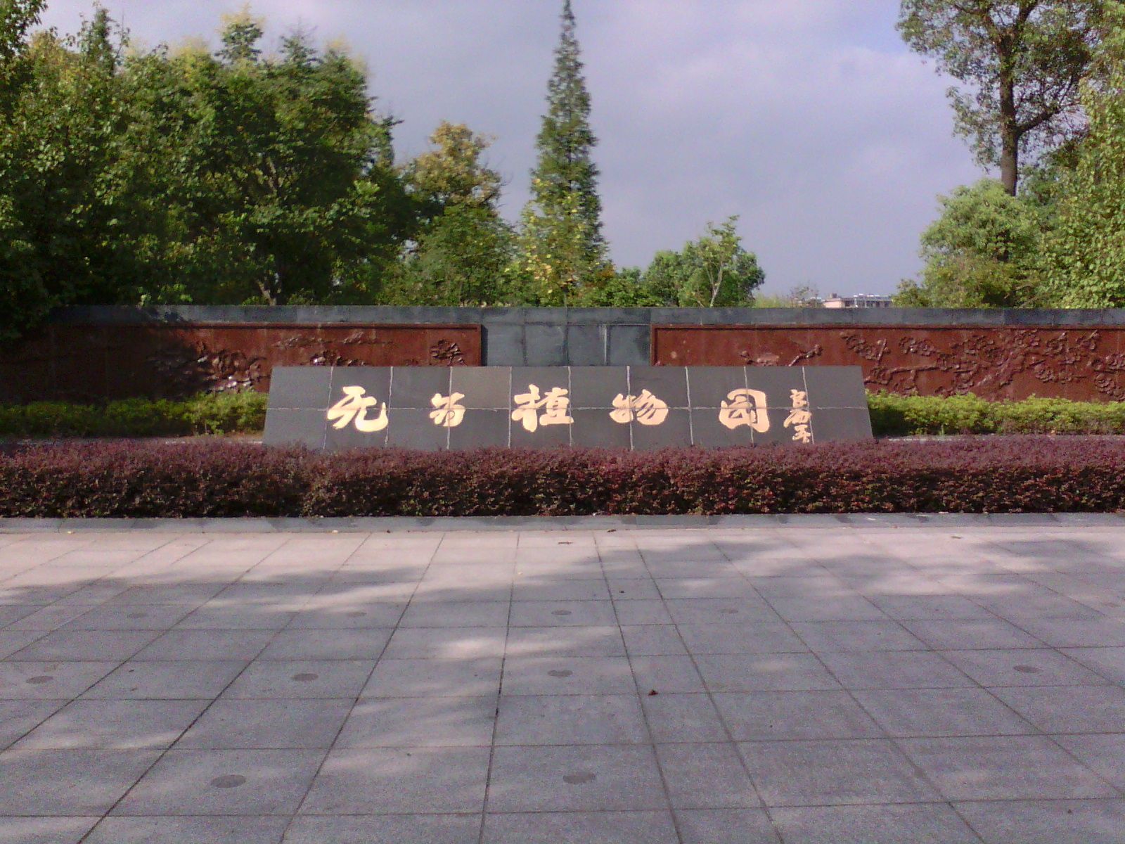 无为植物园旅行图片