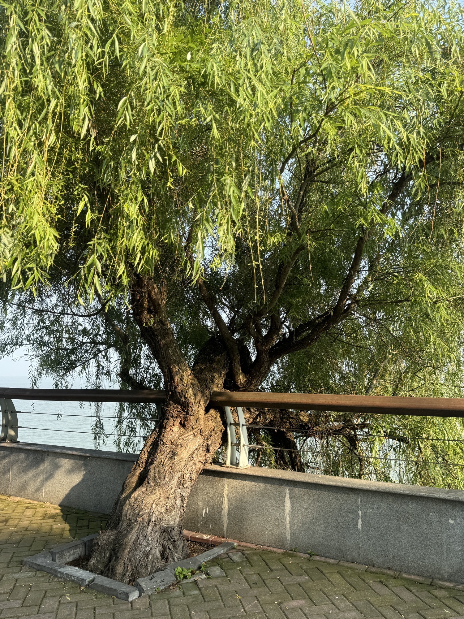 巢湖国家重点风景名胜区旅行图片