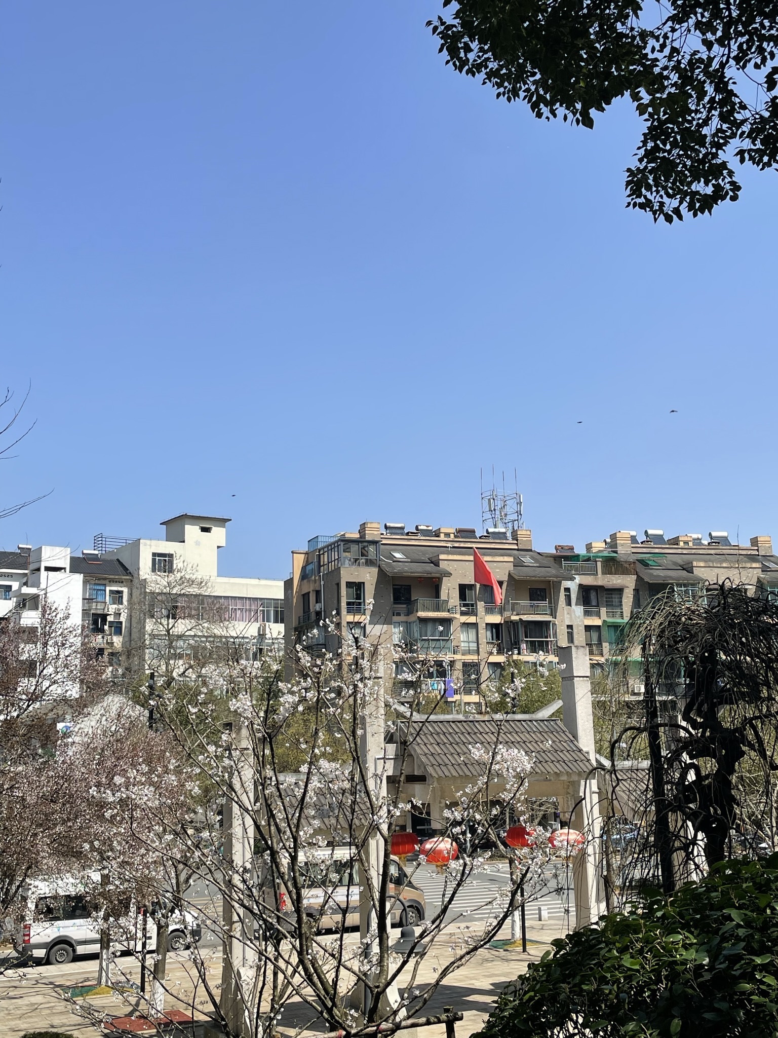 塔山公园