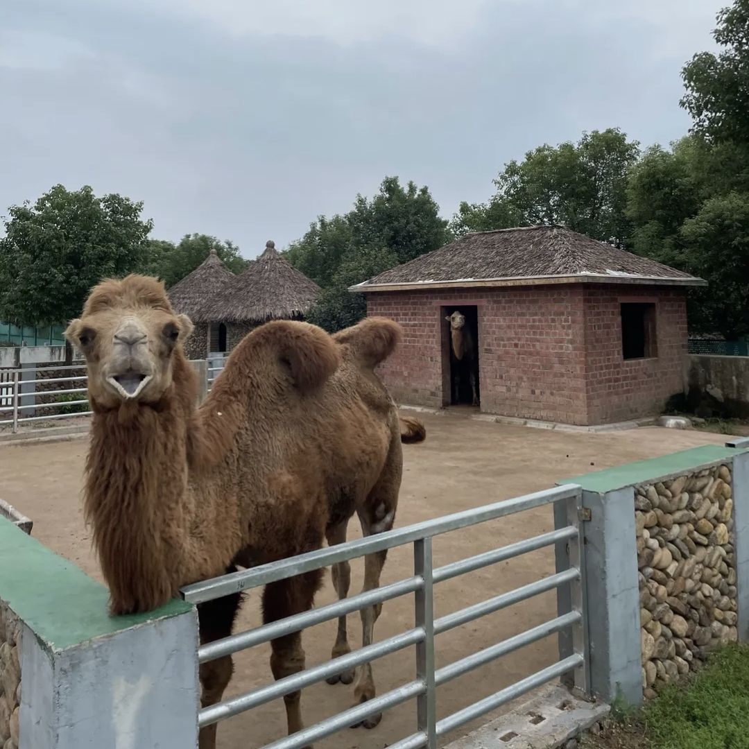 姑蔑城生态园旅行图片