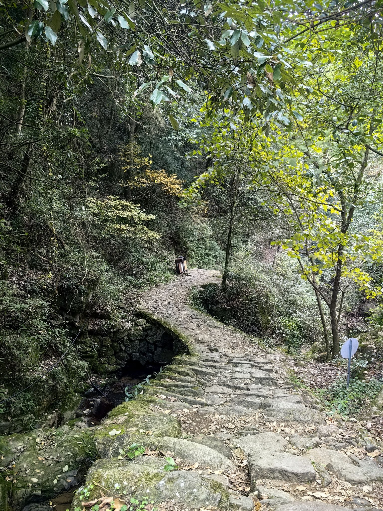 东坪古道旅行图片