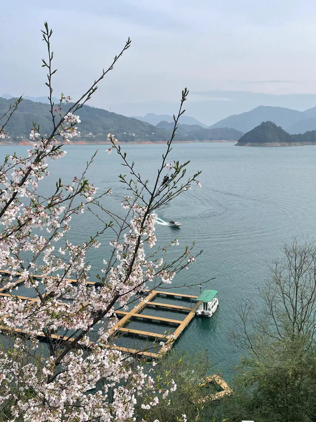 仙霞湖