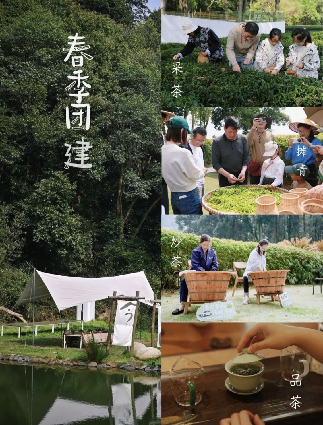 午潮山国家森林公园旅行图片
