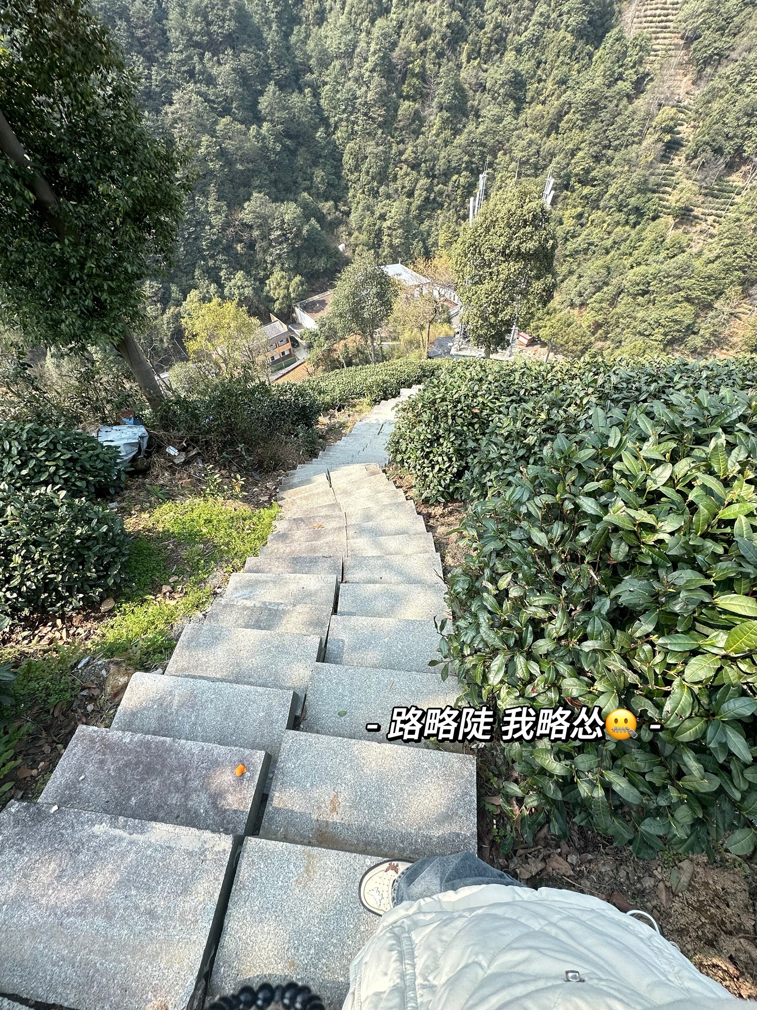 午潮山国家森林公园旅行图片
