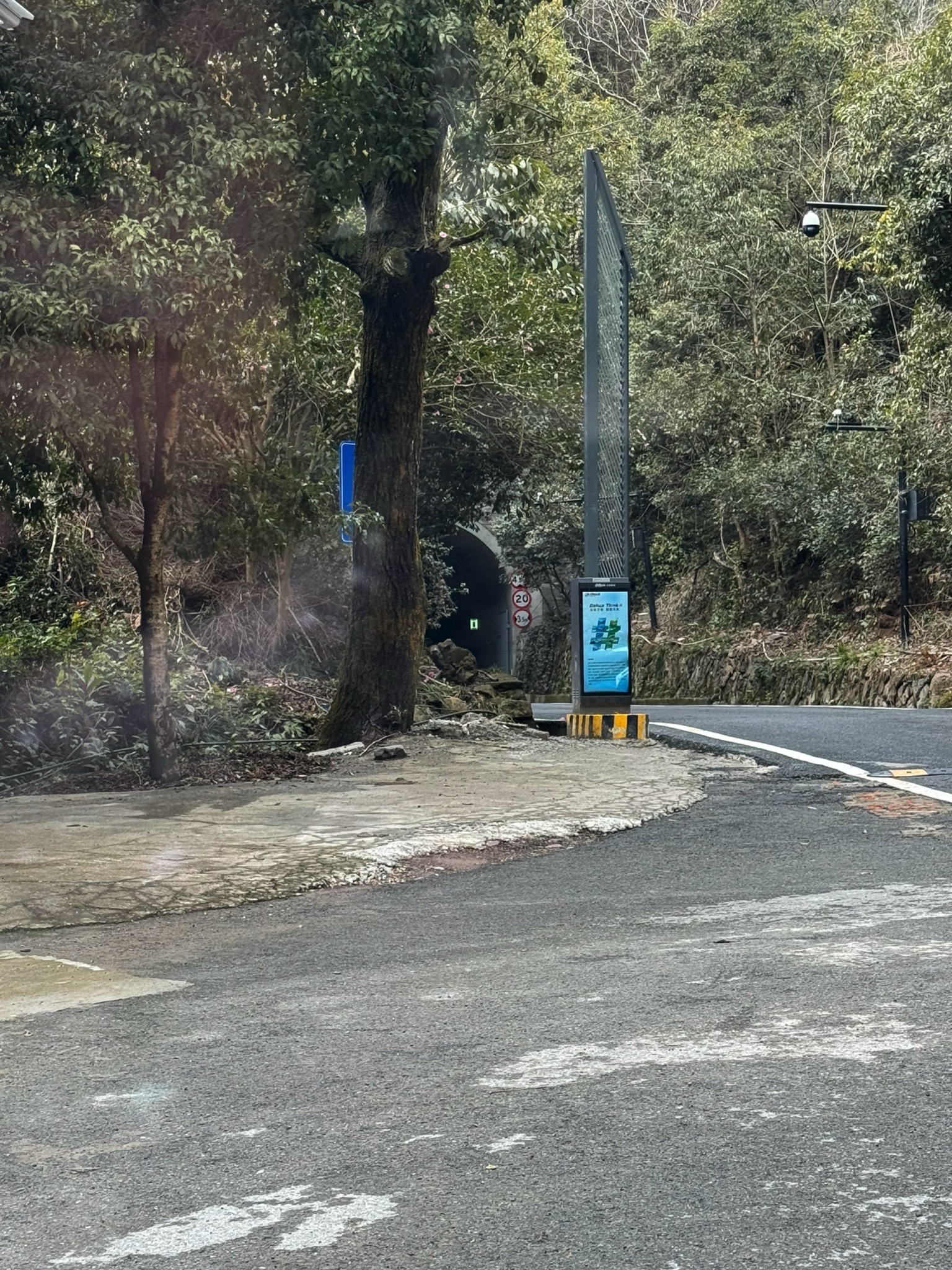 新安江森林公园