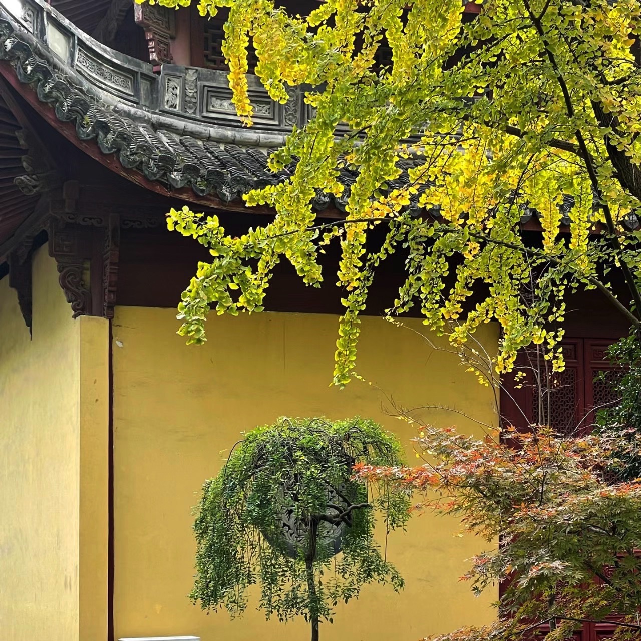 江寺公园