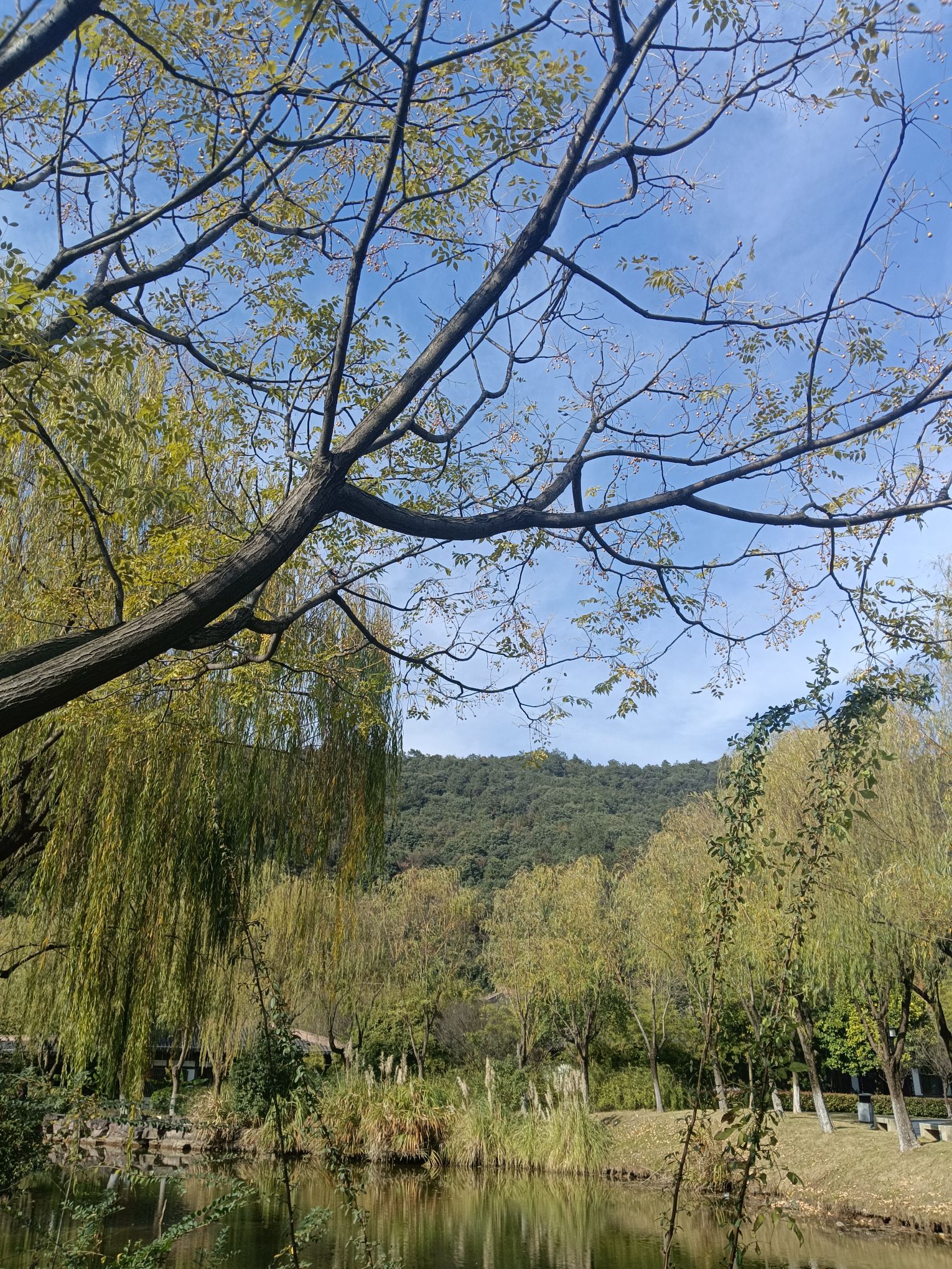 东吴文化公园旅行图片