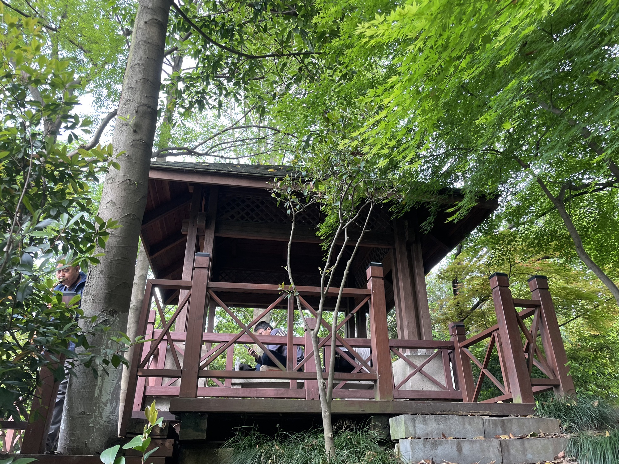 青年公园