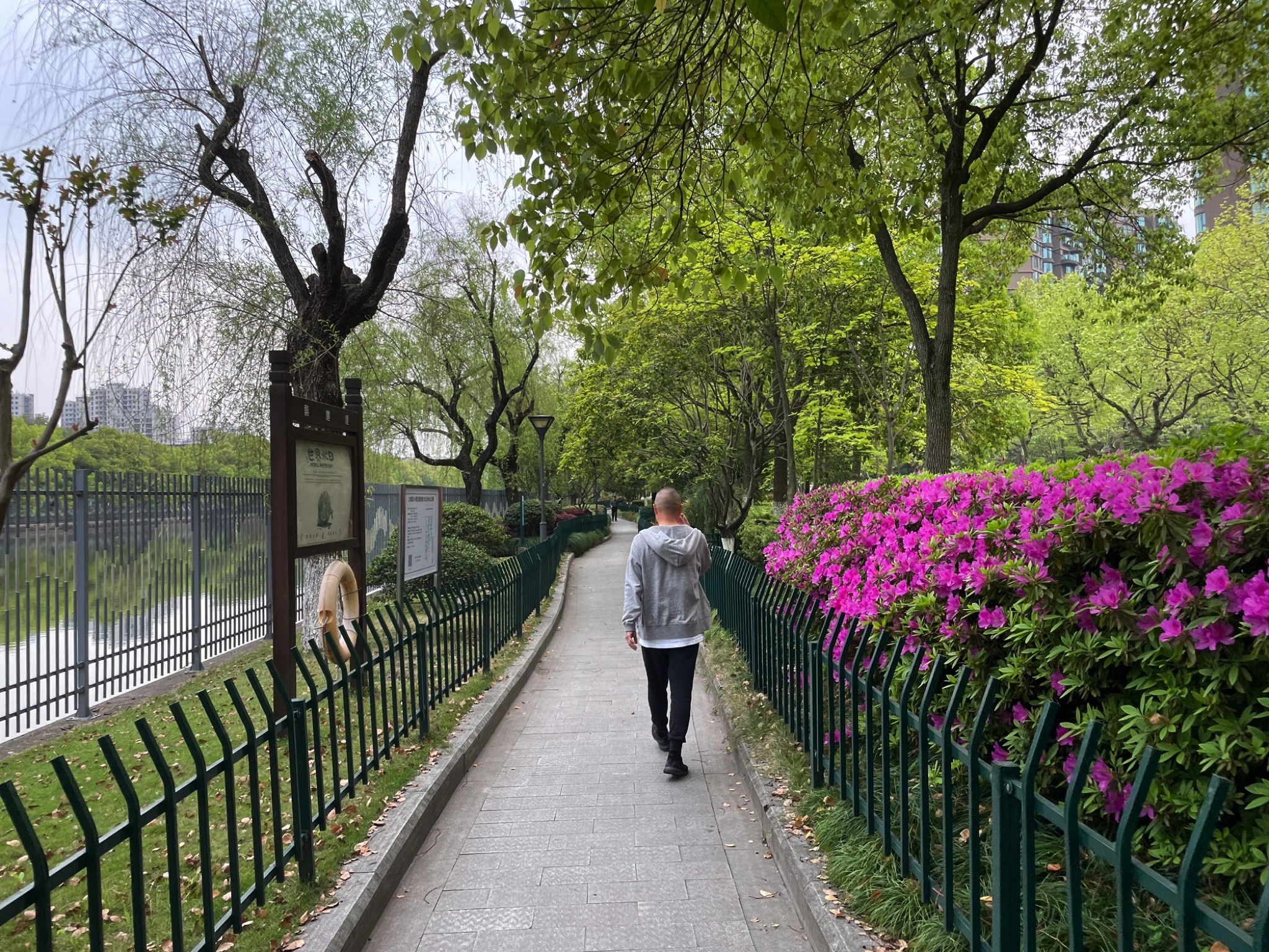 青年公园旅行图片