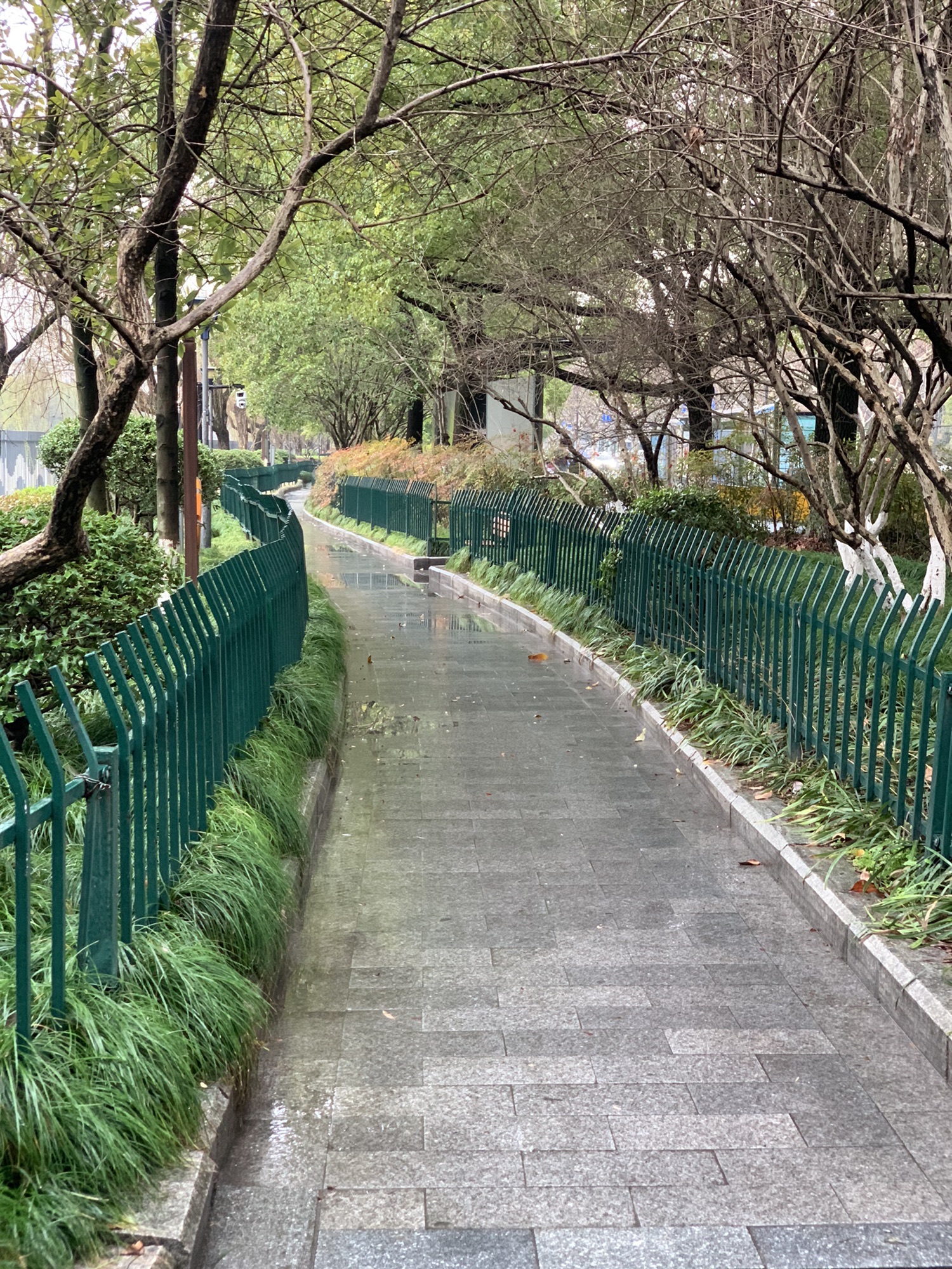 青年公园旅行图片