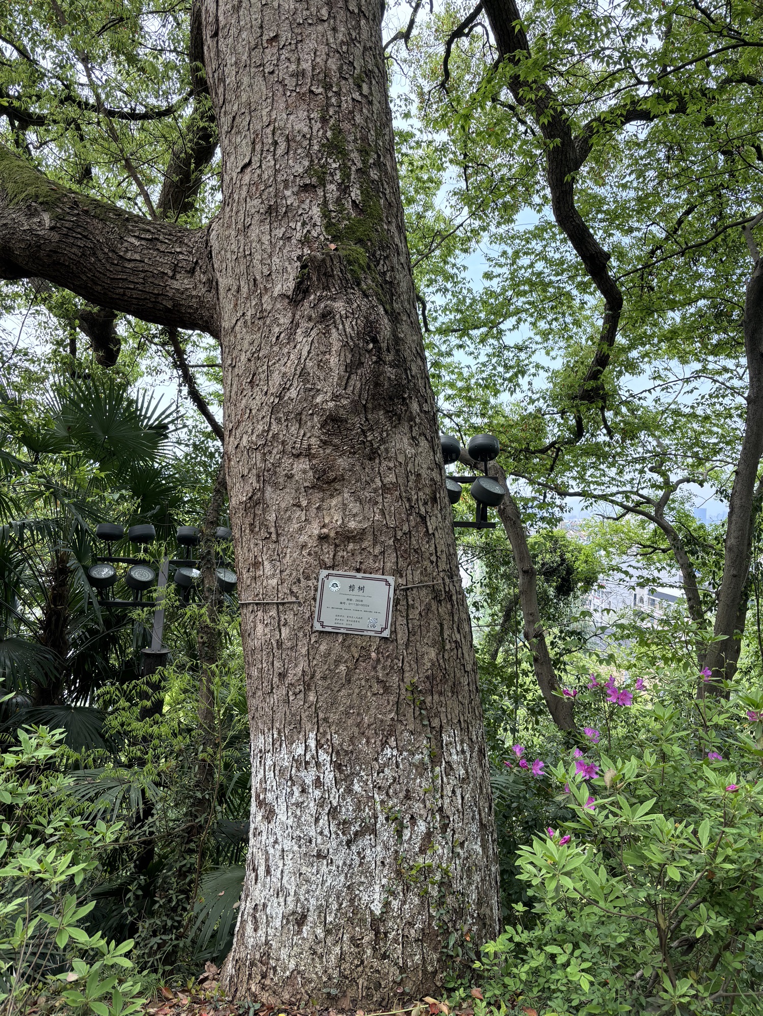鹳山景区