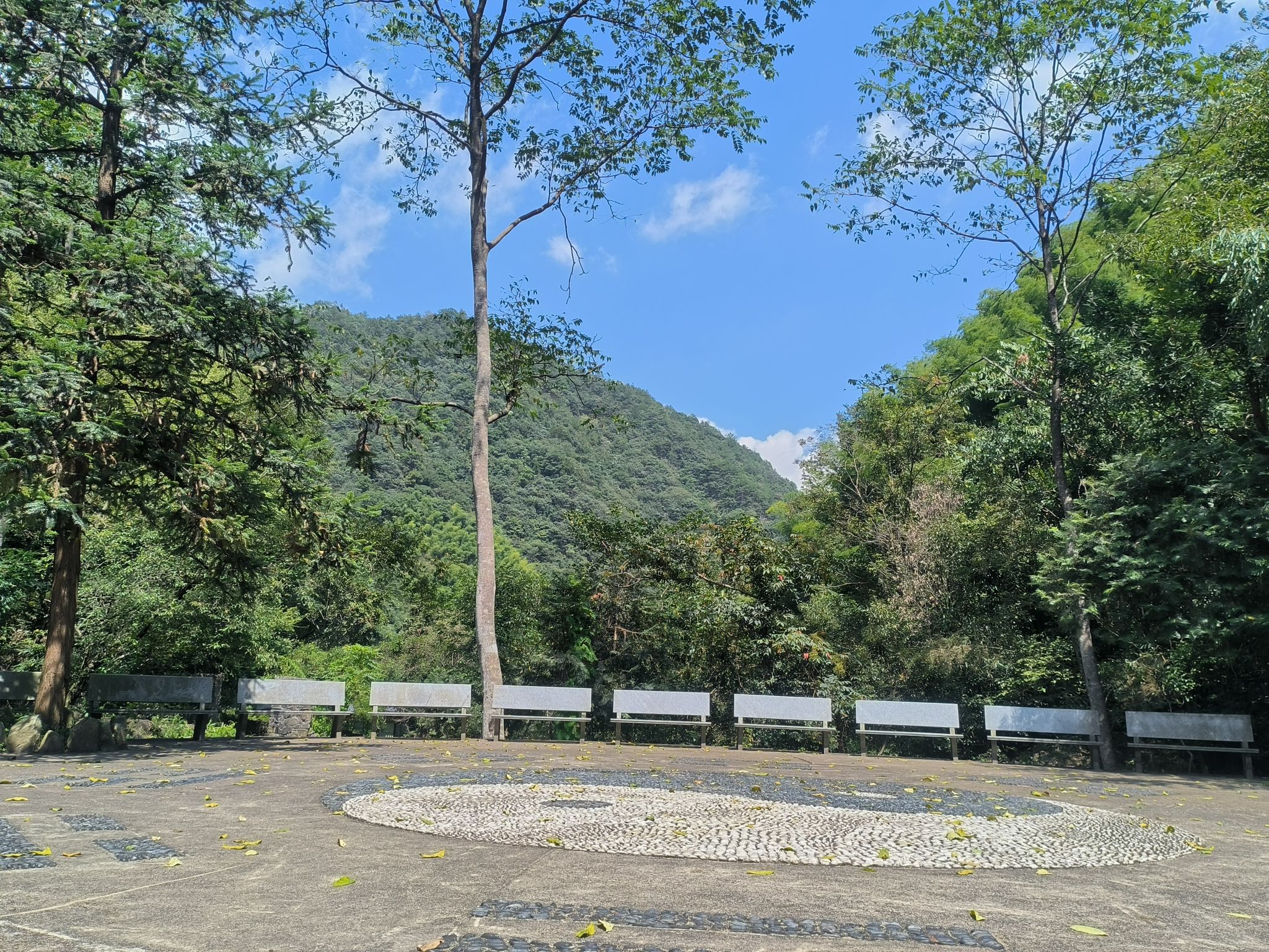 神龙川风景旅游度假区旅行图片