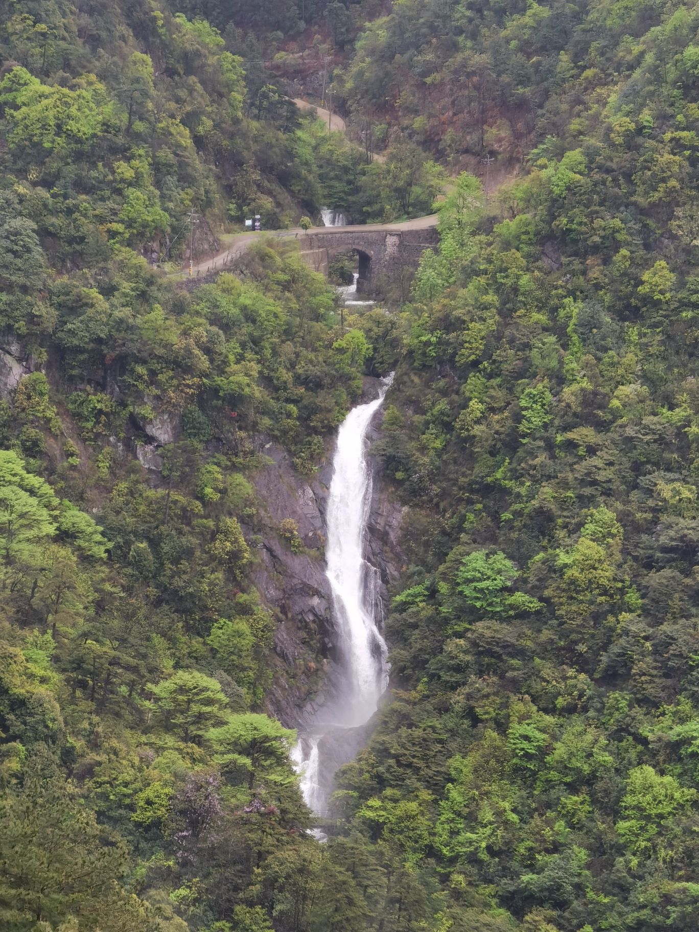 东天目山景区旅行图片