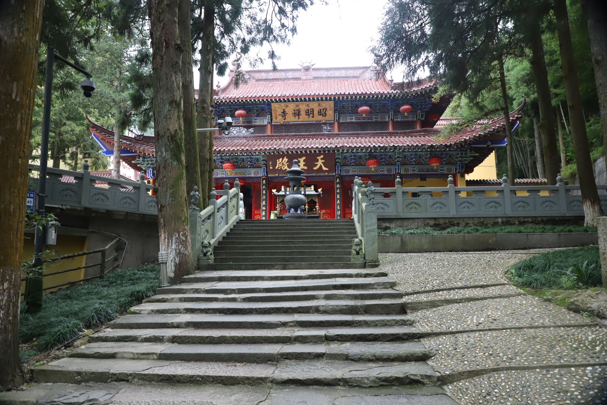 东天目山景区旅行图片