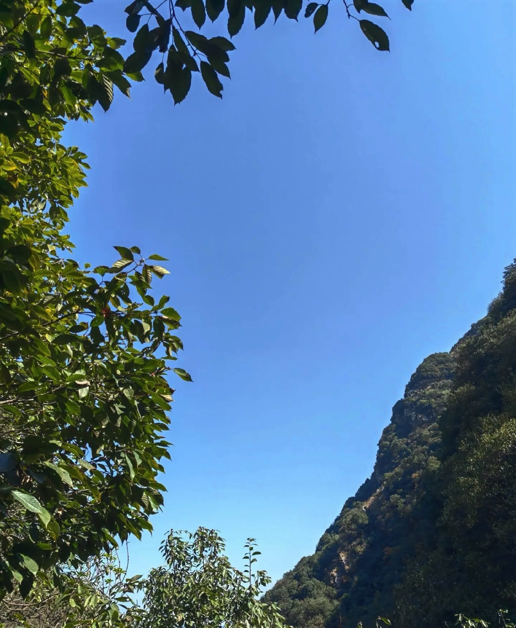 天钟山旅行图片
