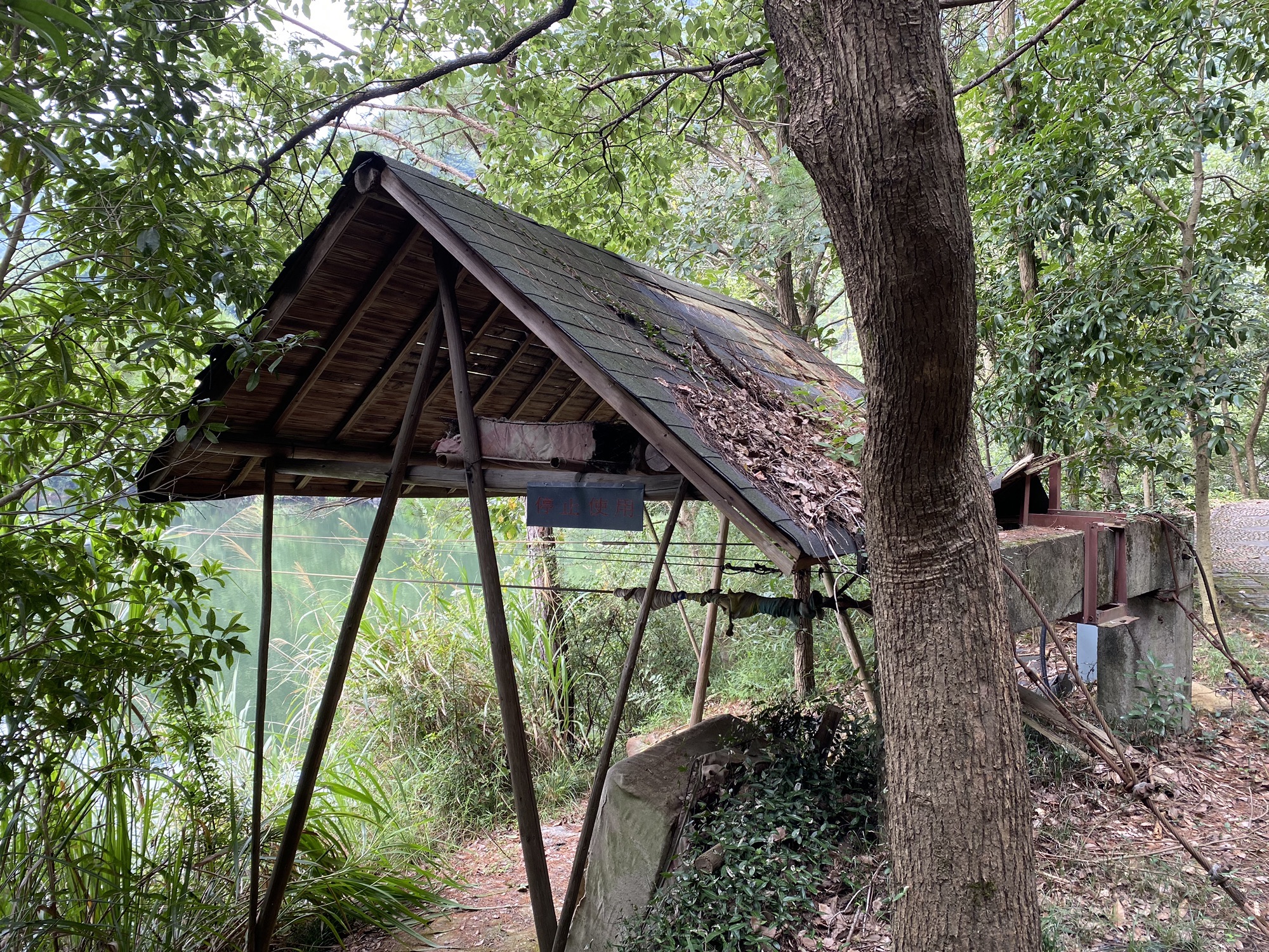 西径山风景区旅行图片