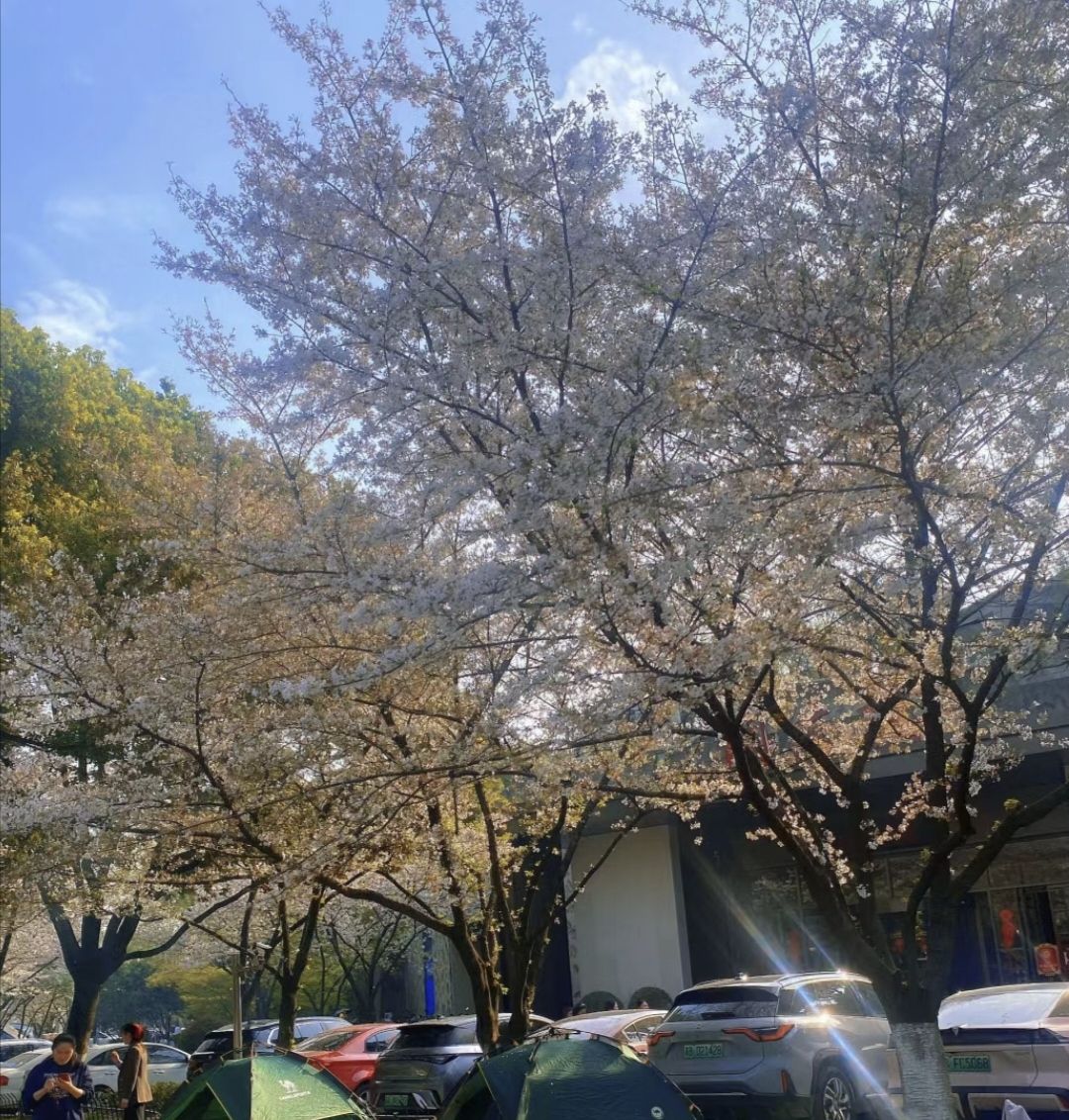三里新城中央公园