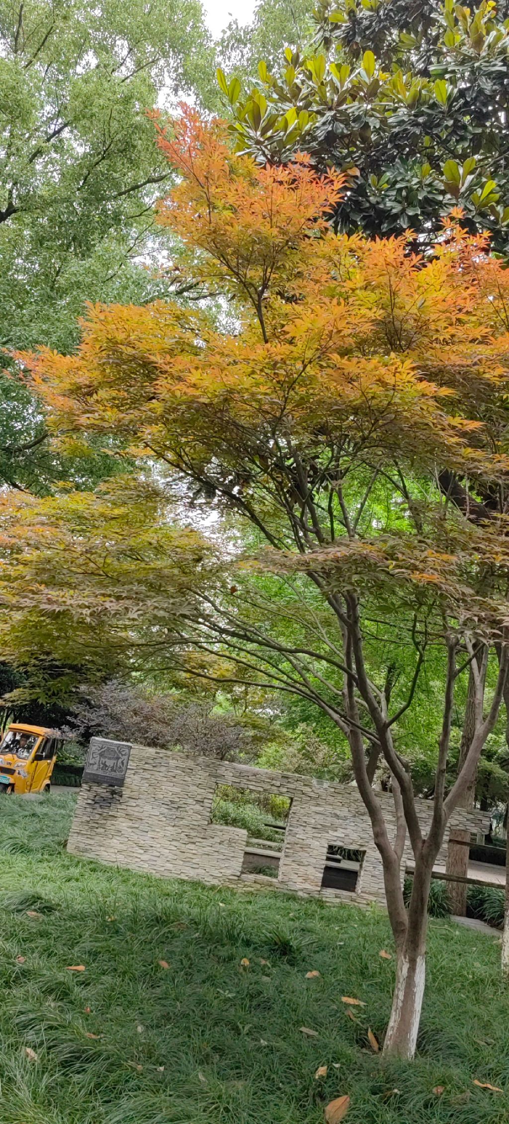城东公园旅行图片