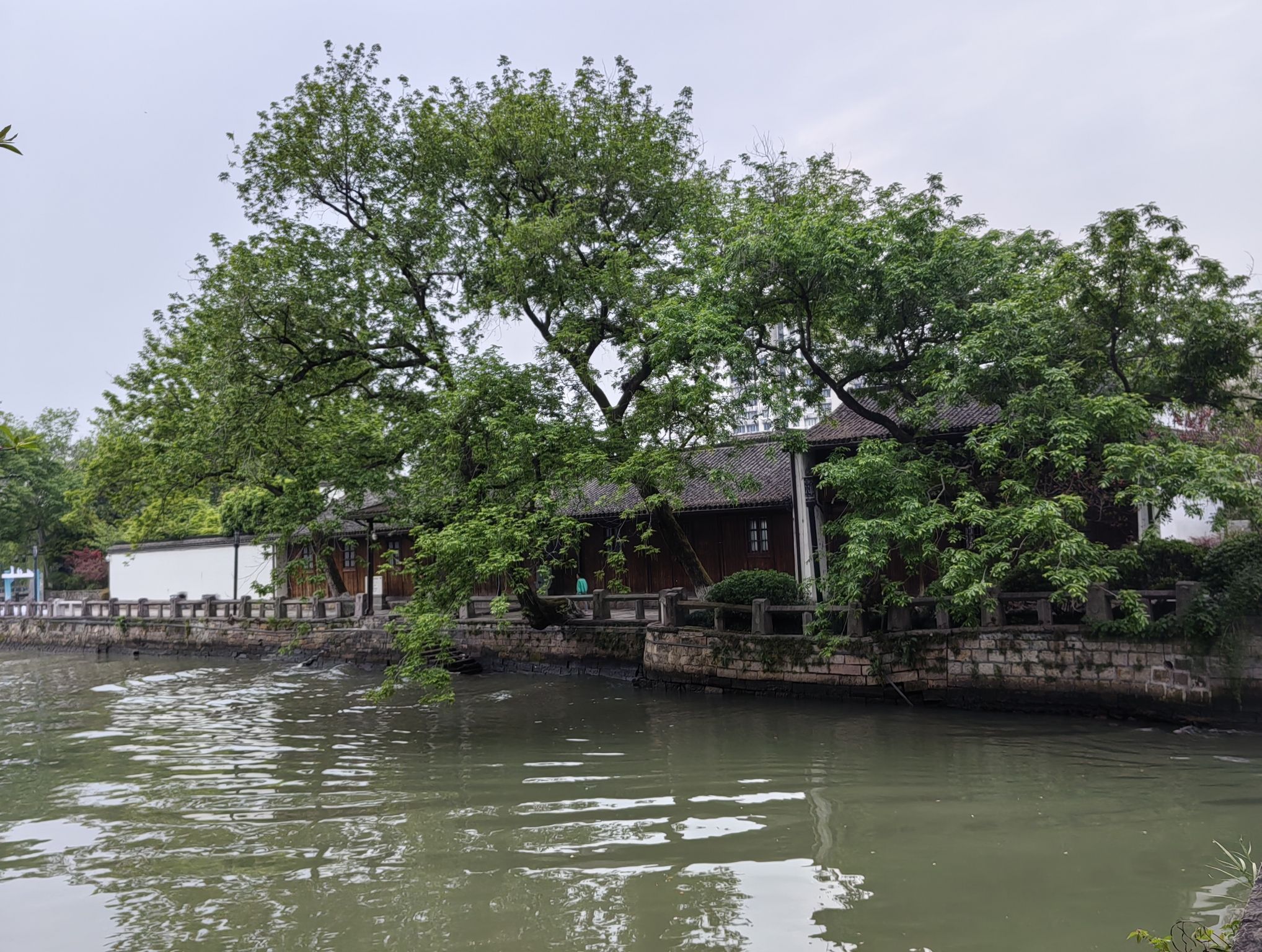 霞湾公园