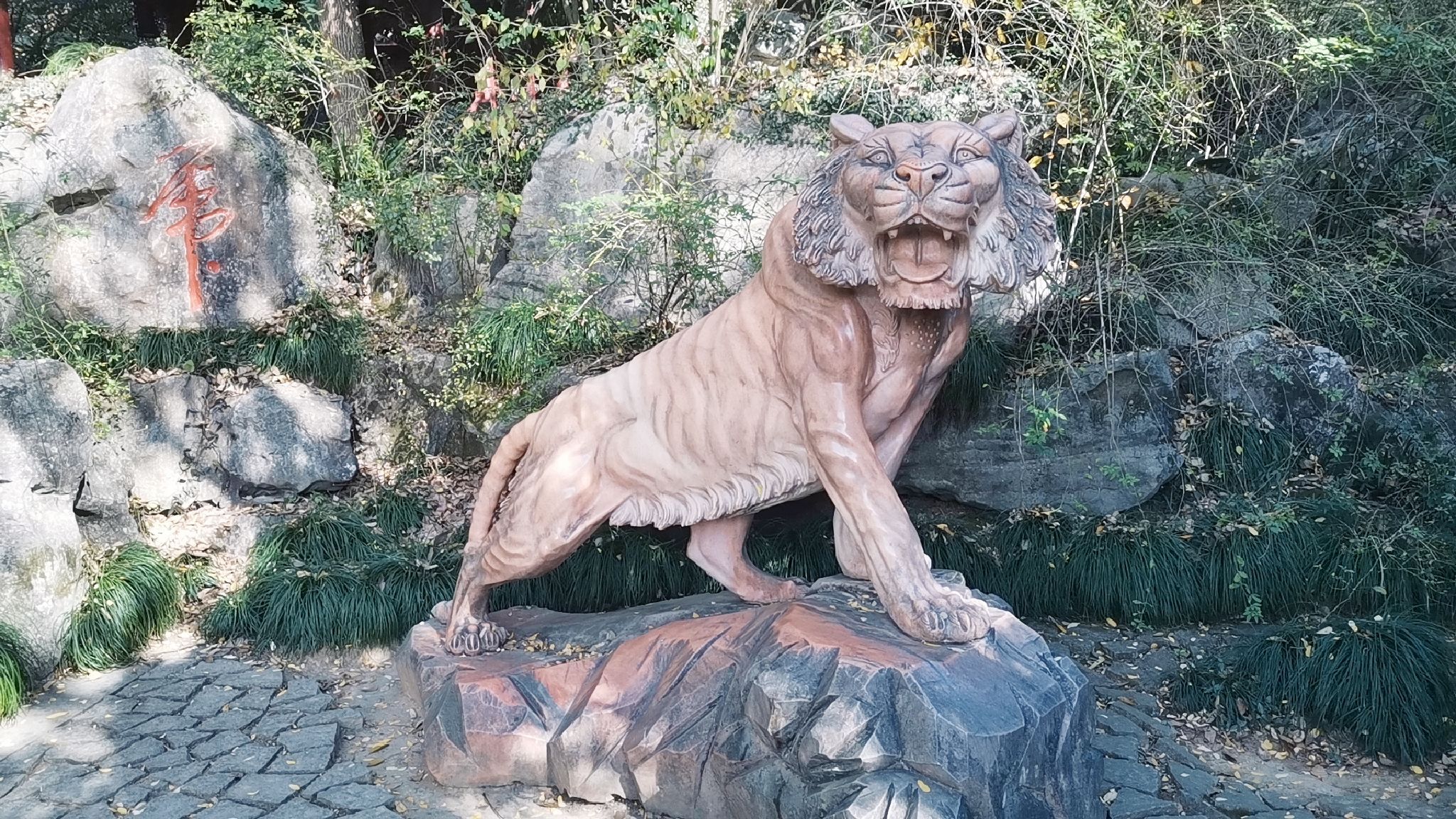 虎山公园旅行图片