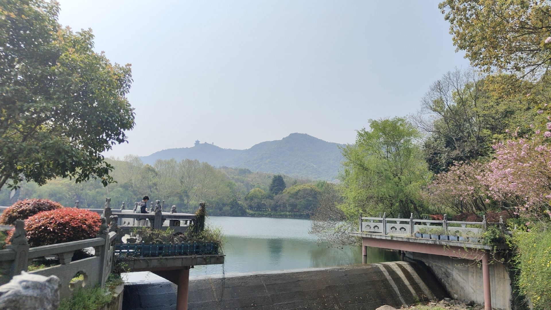 虎山公园旅行图片
