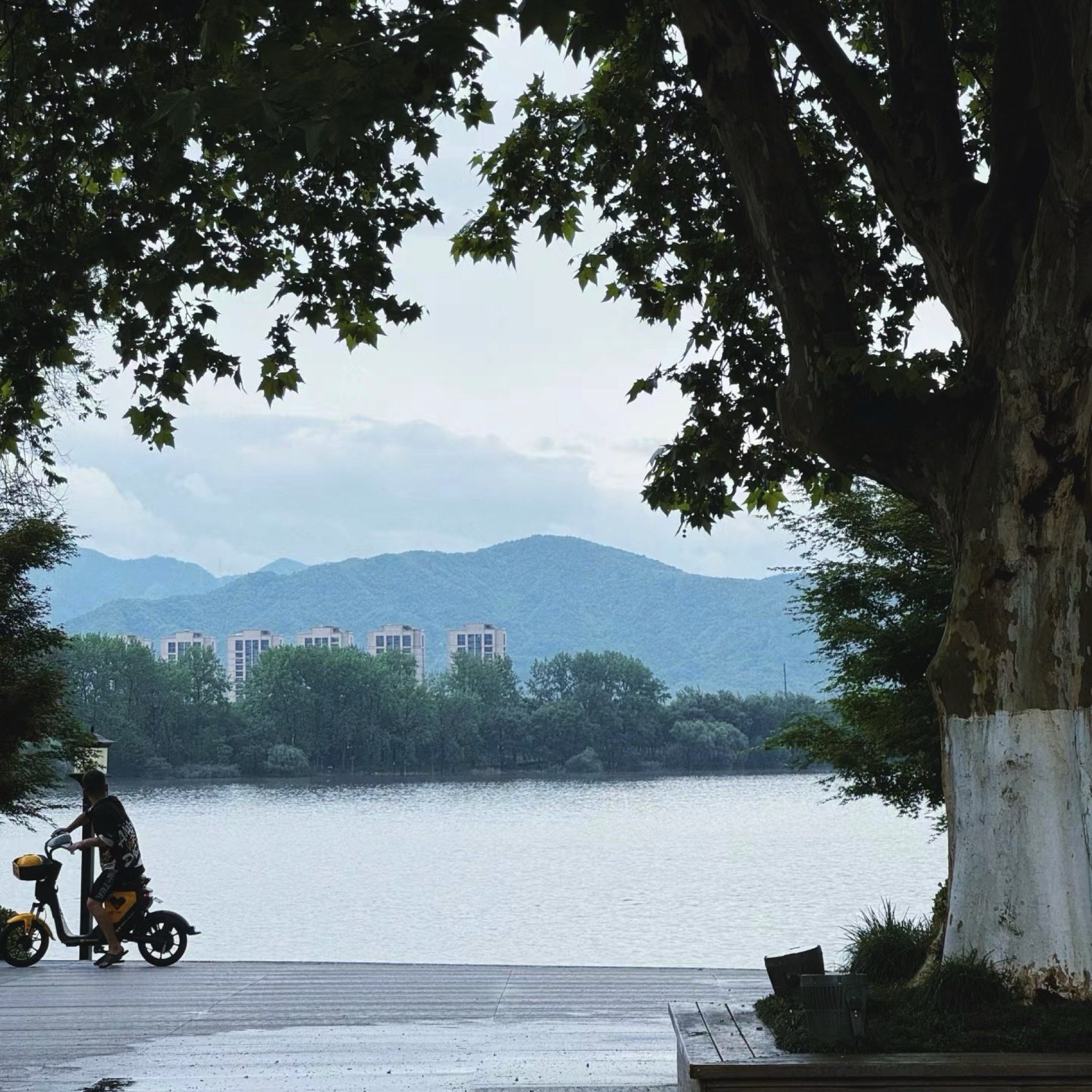 郁达夫公园旅行图片