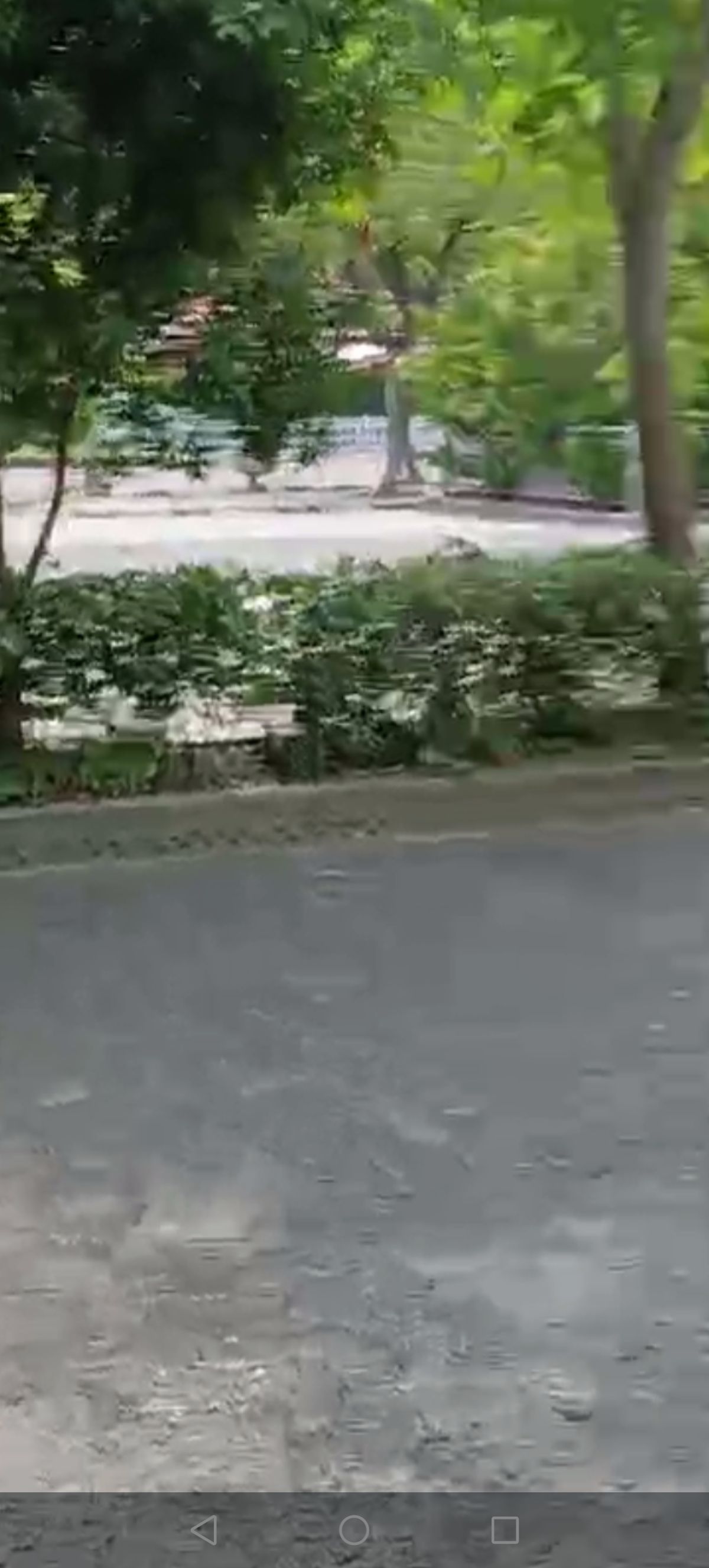 峙山公园
