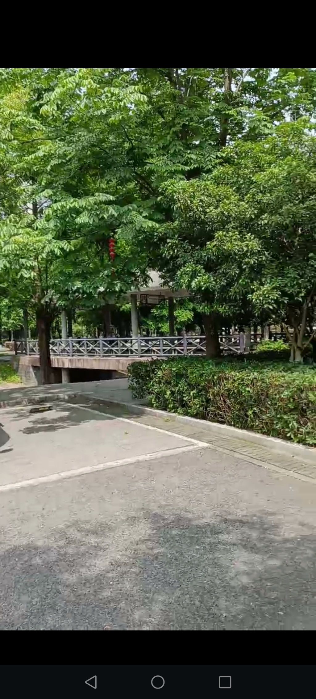 峙山公园旅行图片
