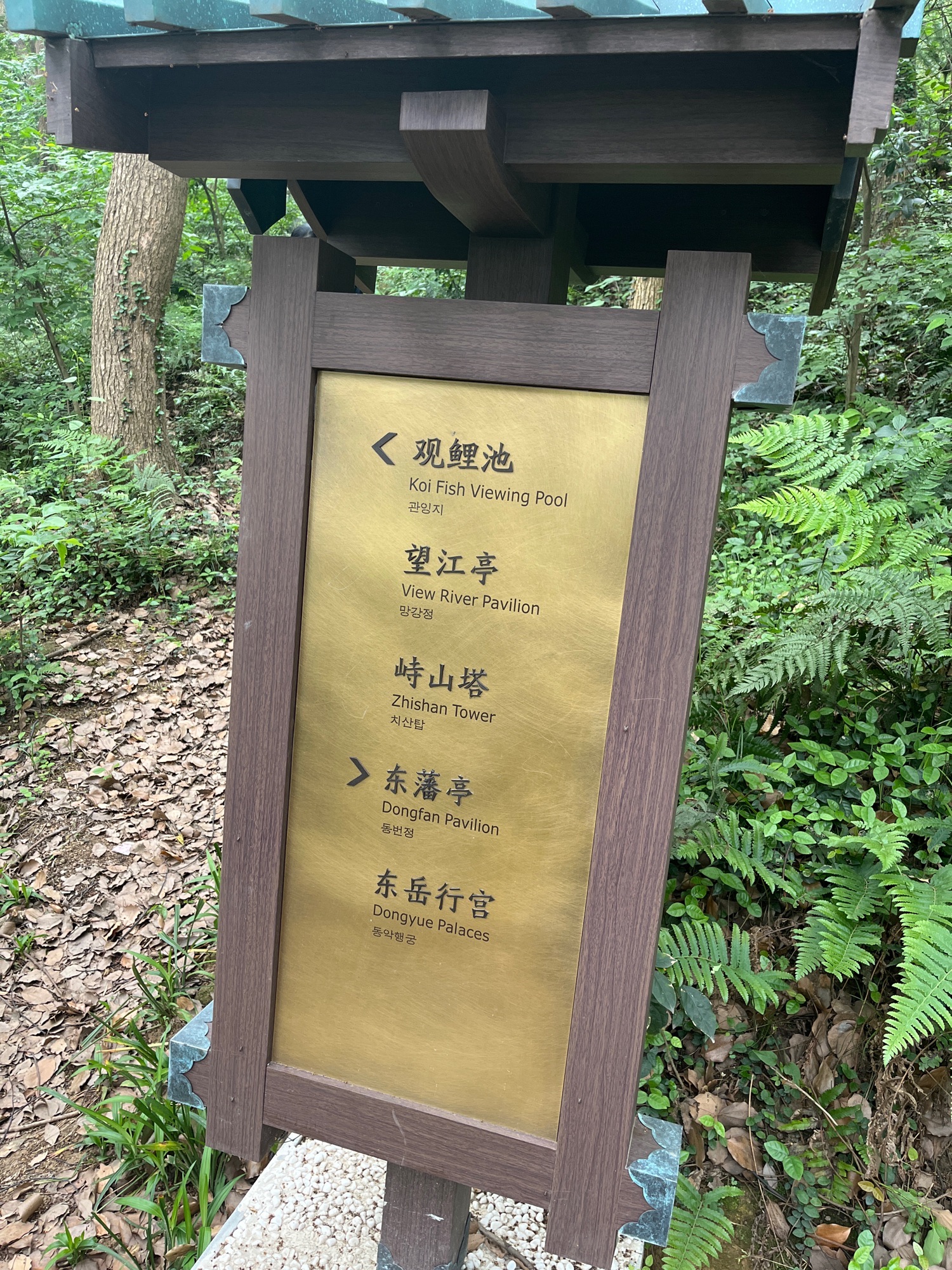 峙山公园旅行图片