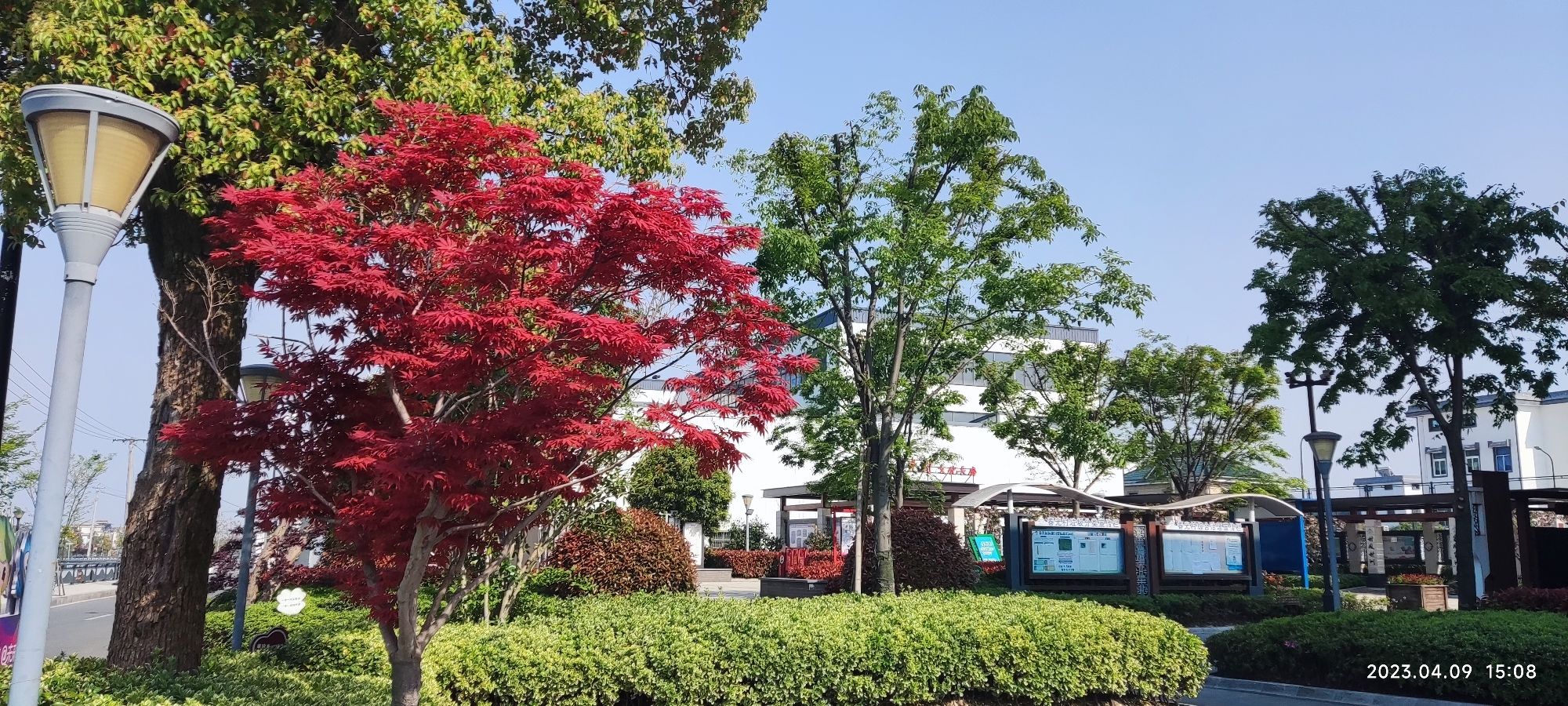 春光公园