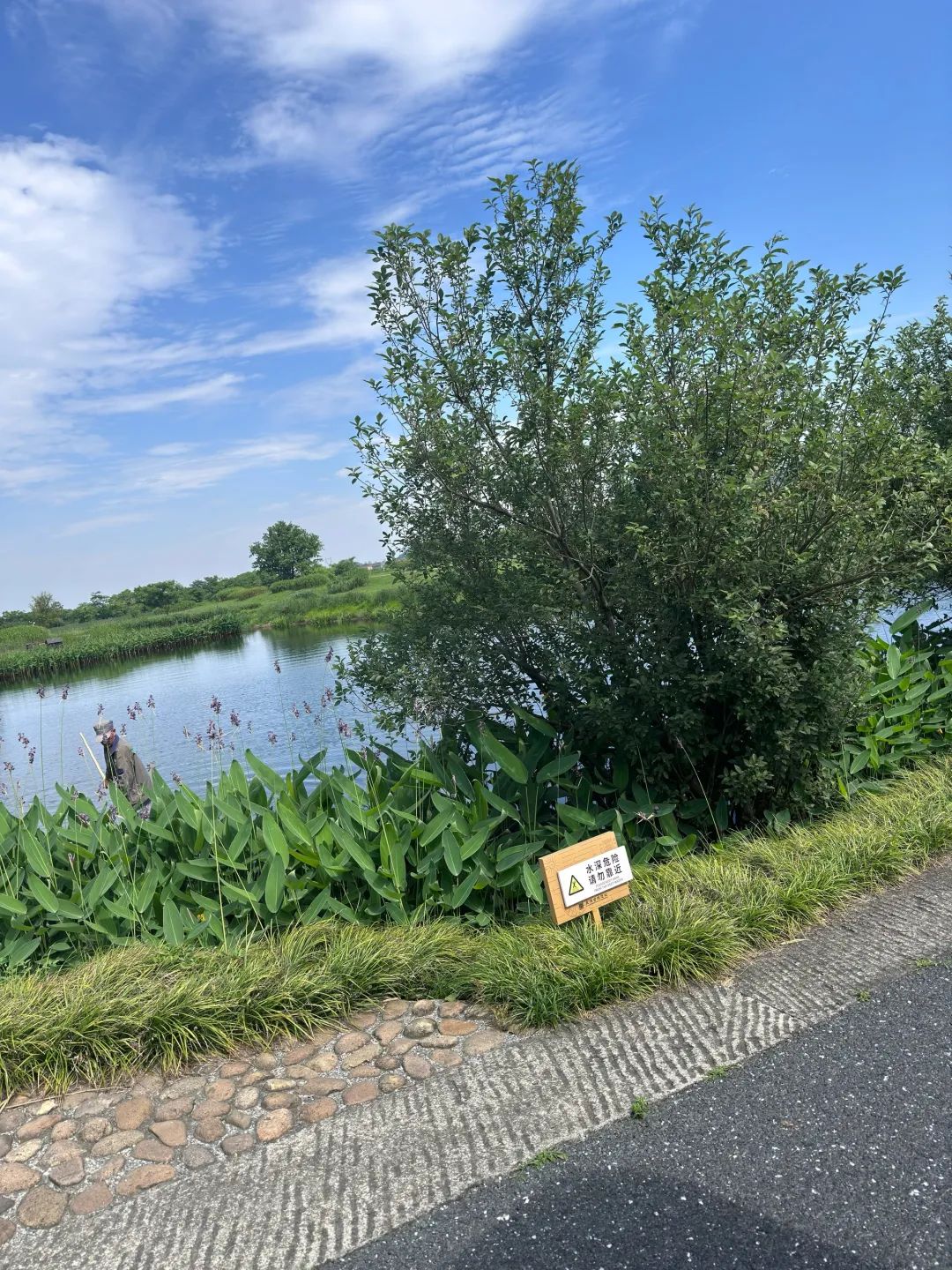 良渚古城遗址公园