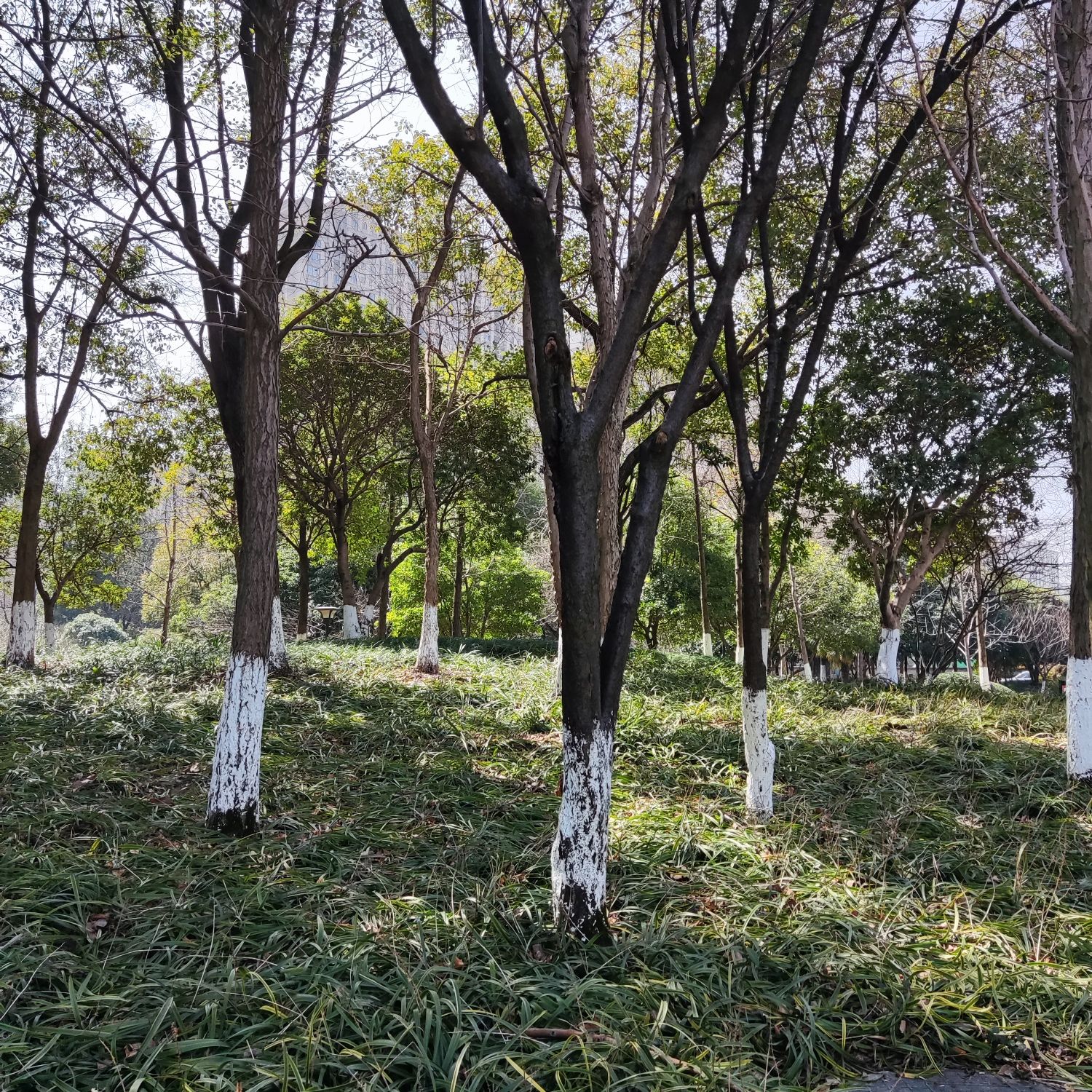 知章公园旅行图片