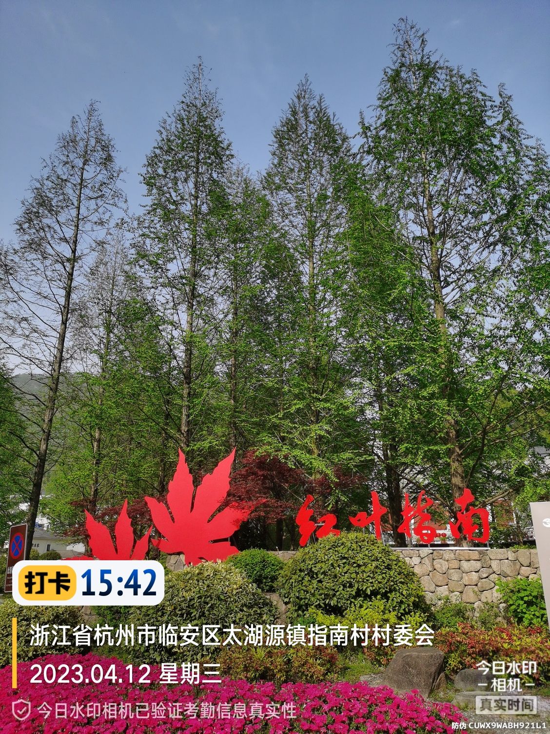 指南慈境旅行图片