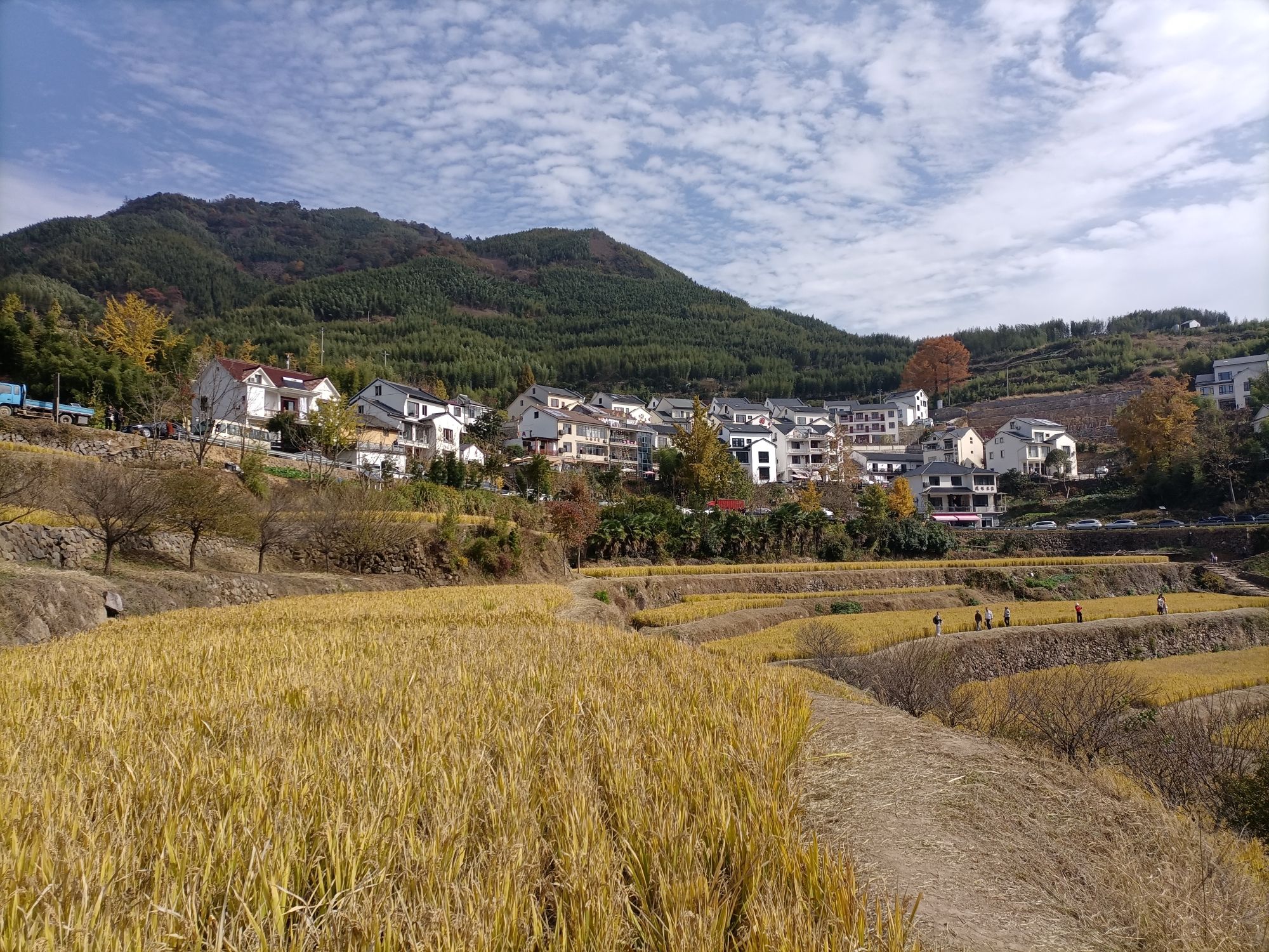 指南慈境旅行图片