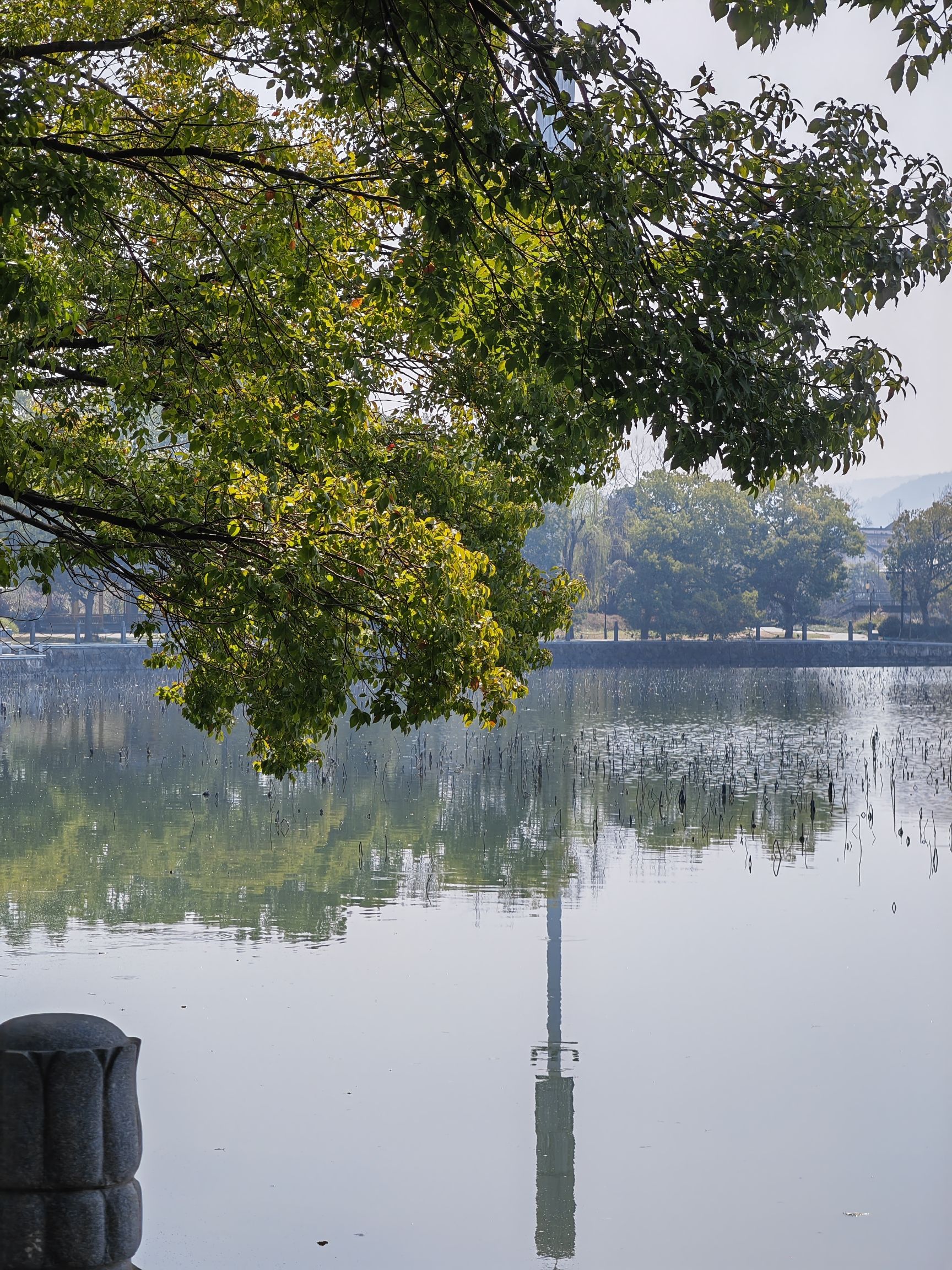 西湖公园旅行图片