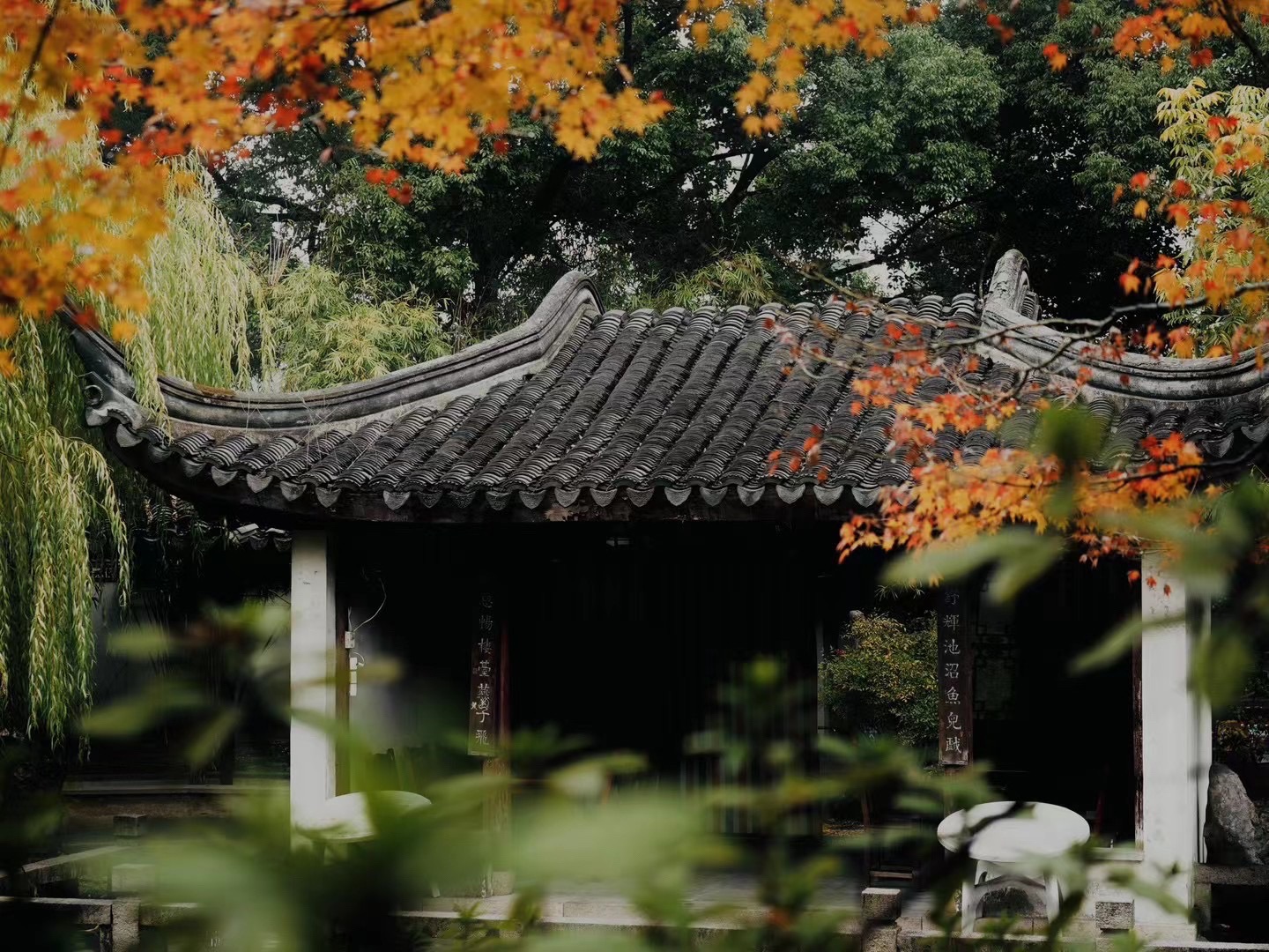 万兴公园