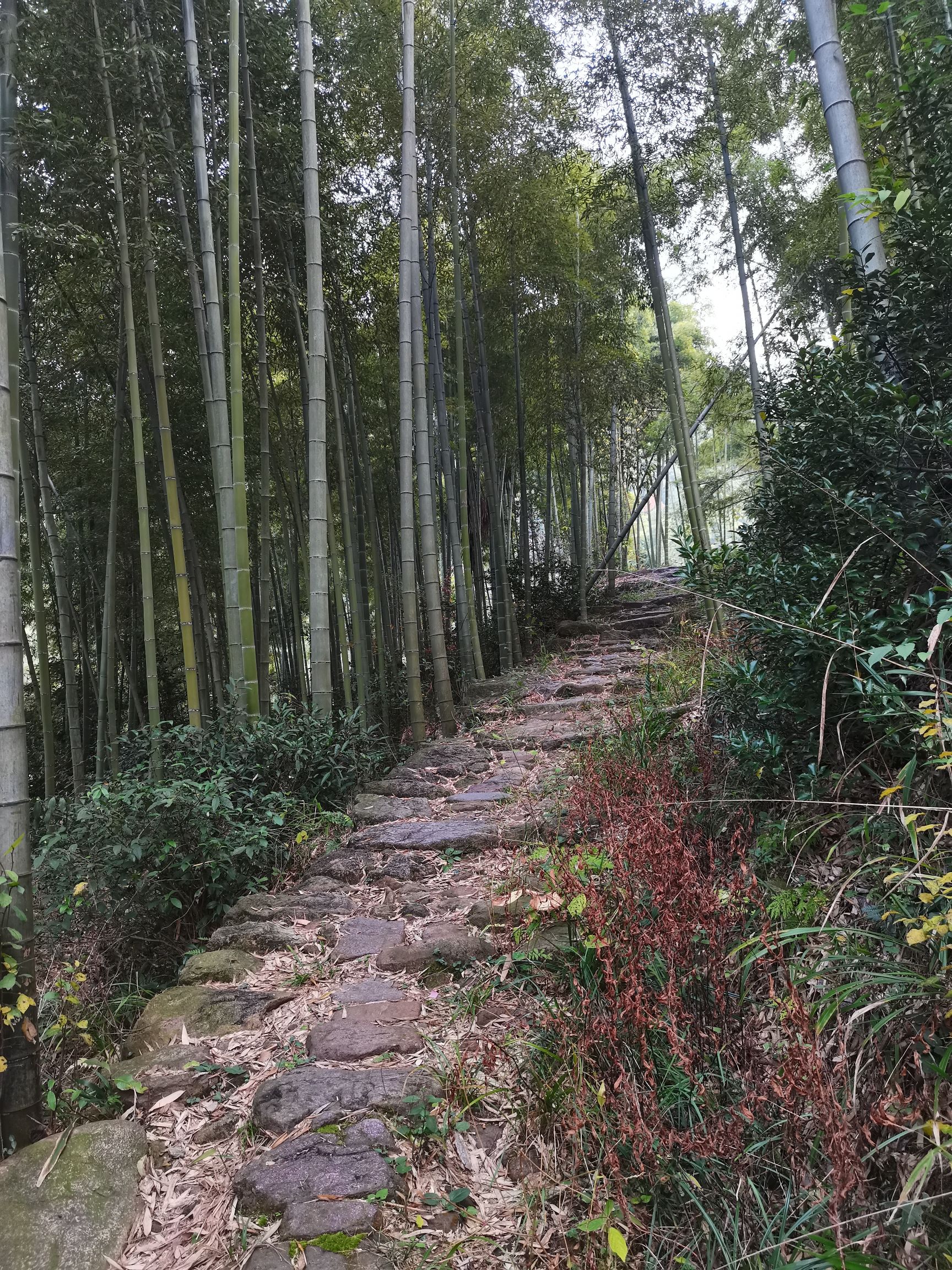 独松关旅行图片