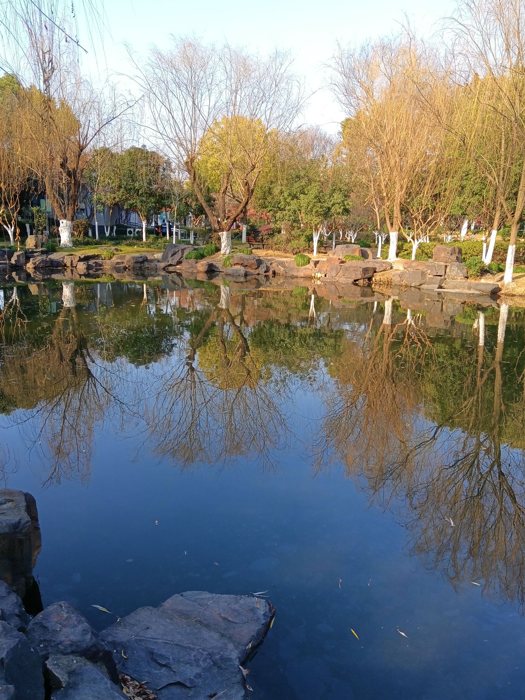 白鱼潭公园旅行图片