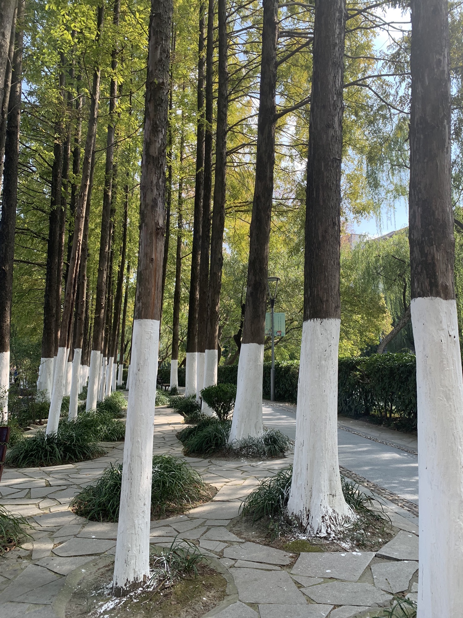 白鱼潭公园旅行图片
