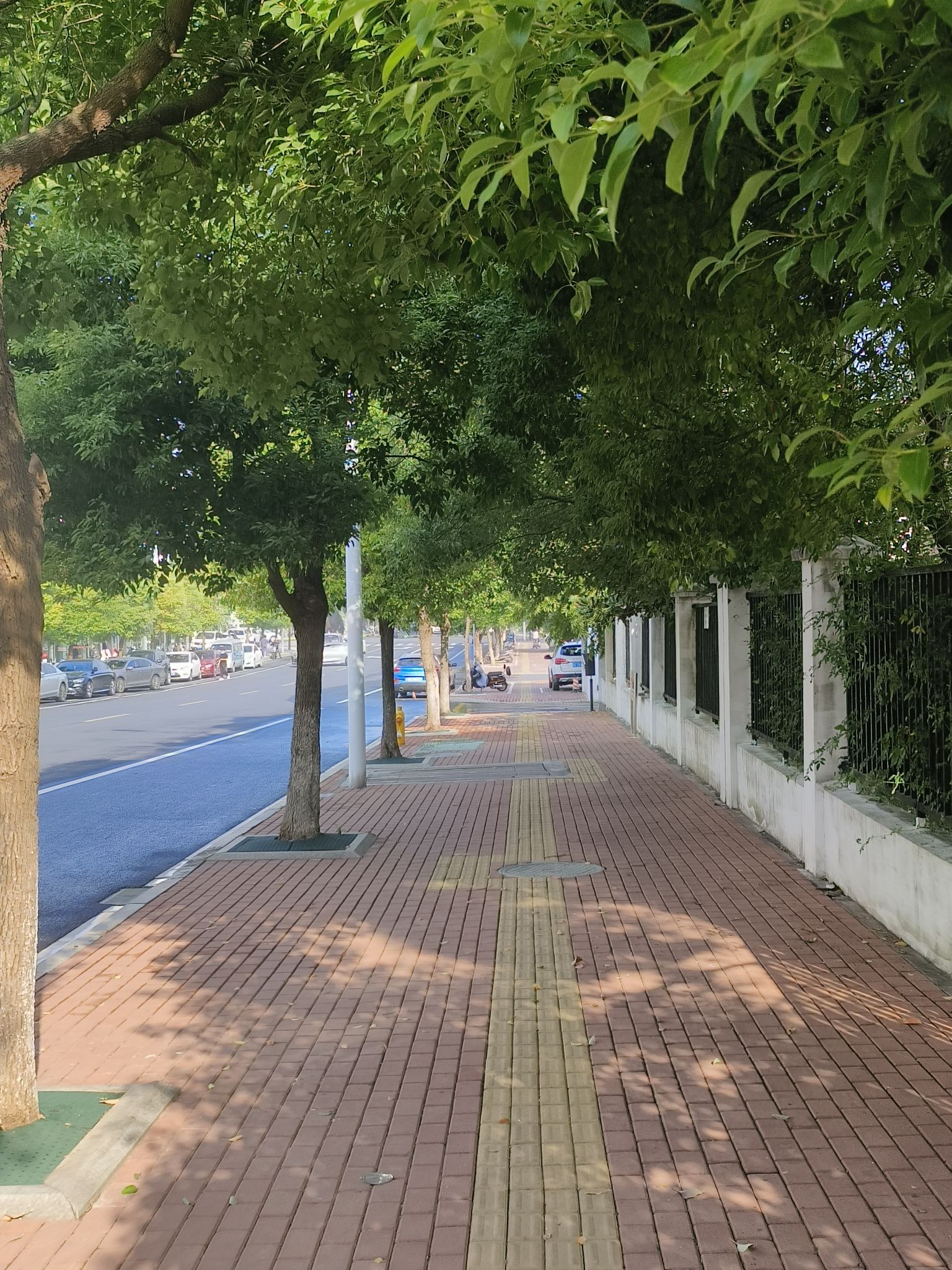 白鱼潭公园旅行图片