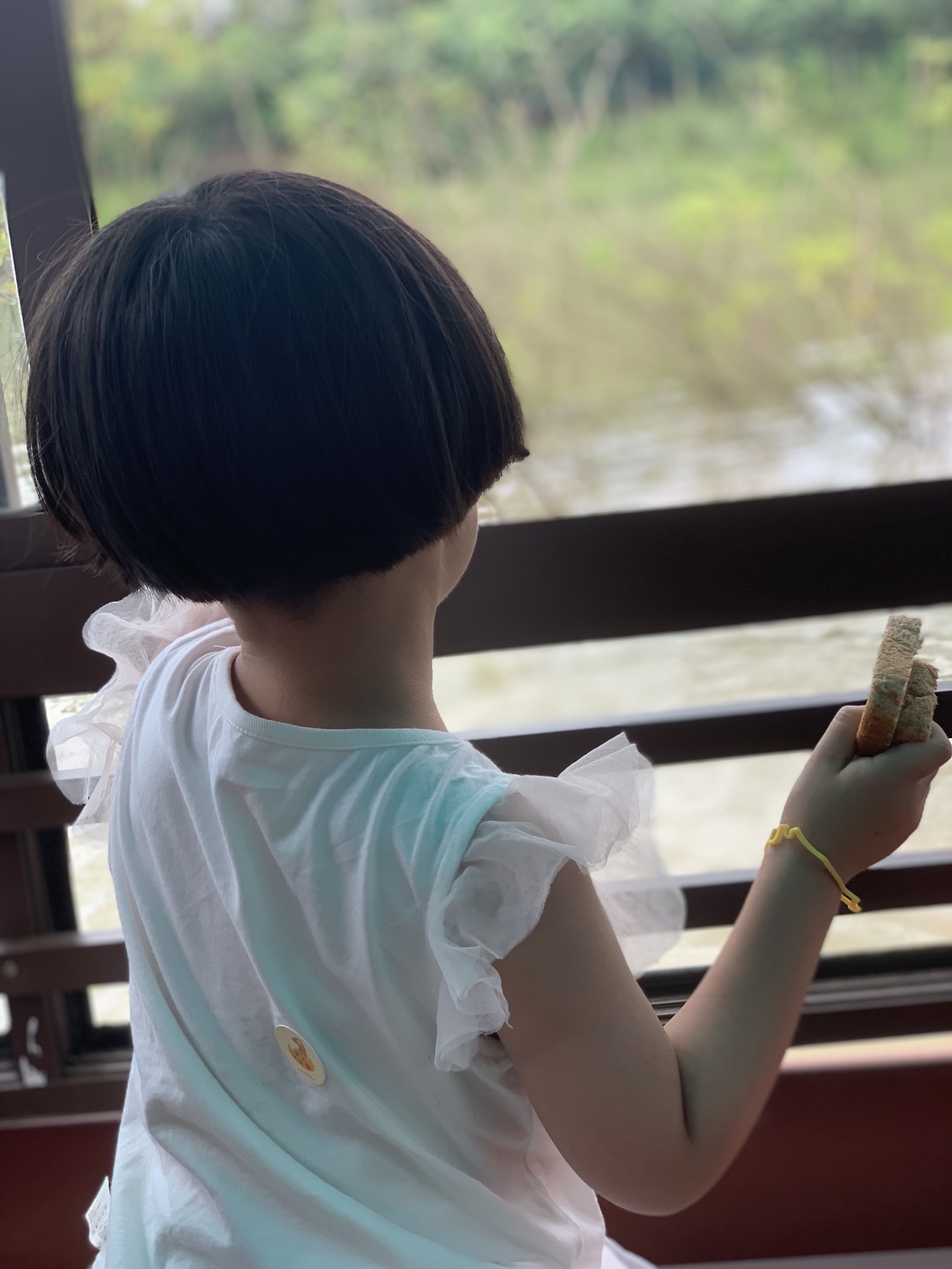 中国扬子鳄村景区