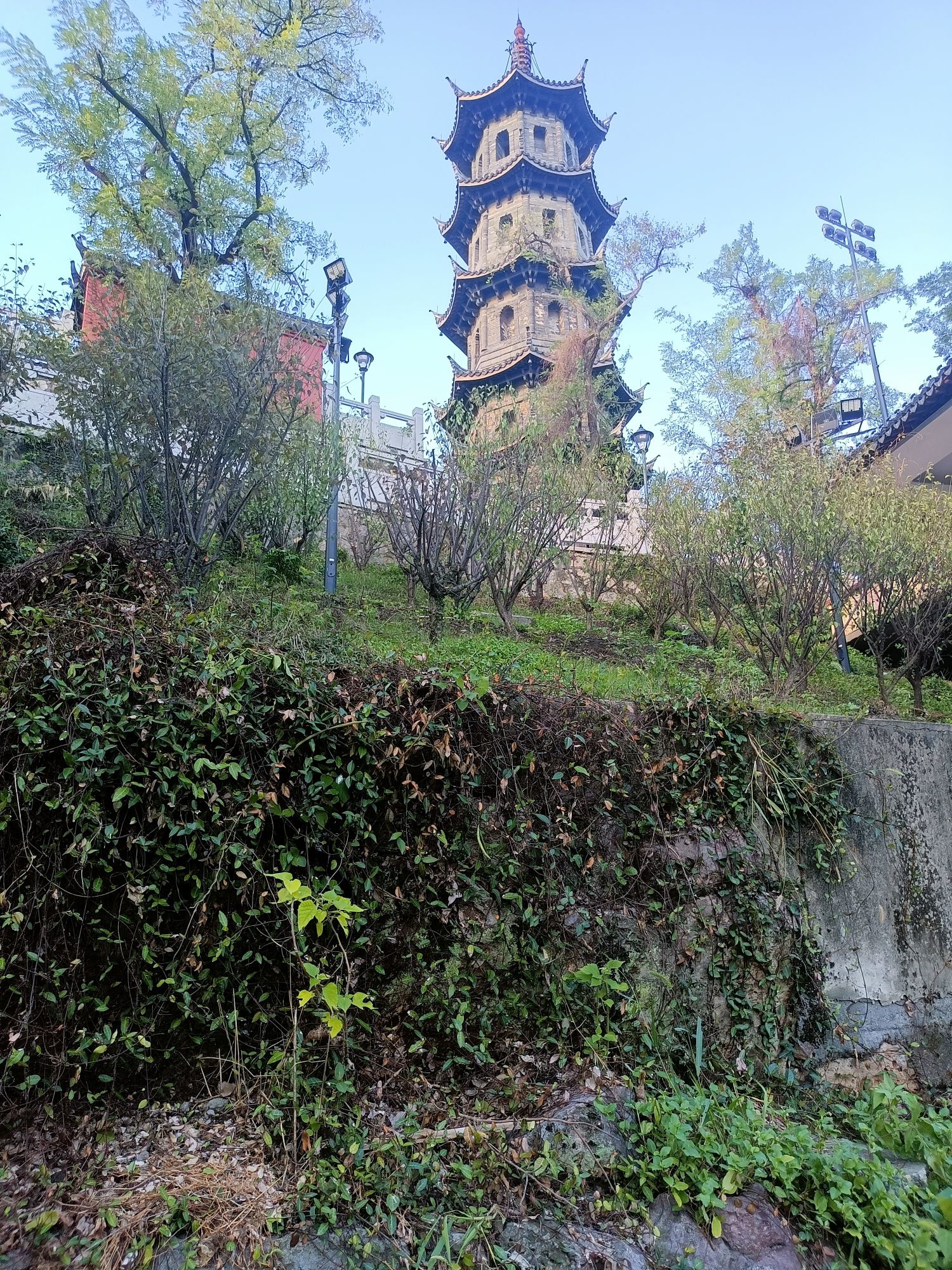 九龙山旅行图片
