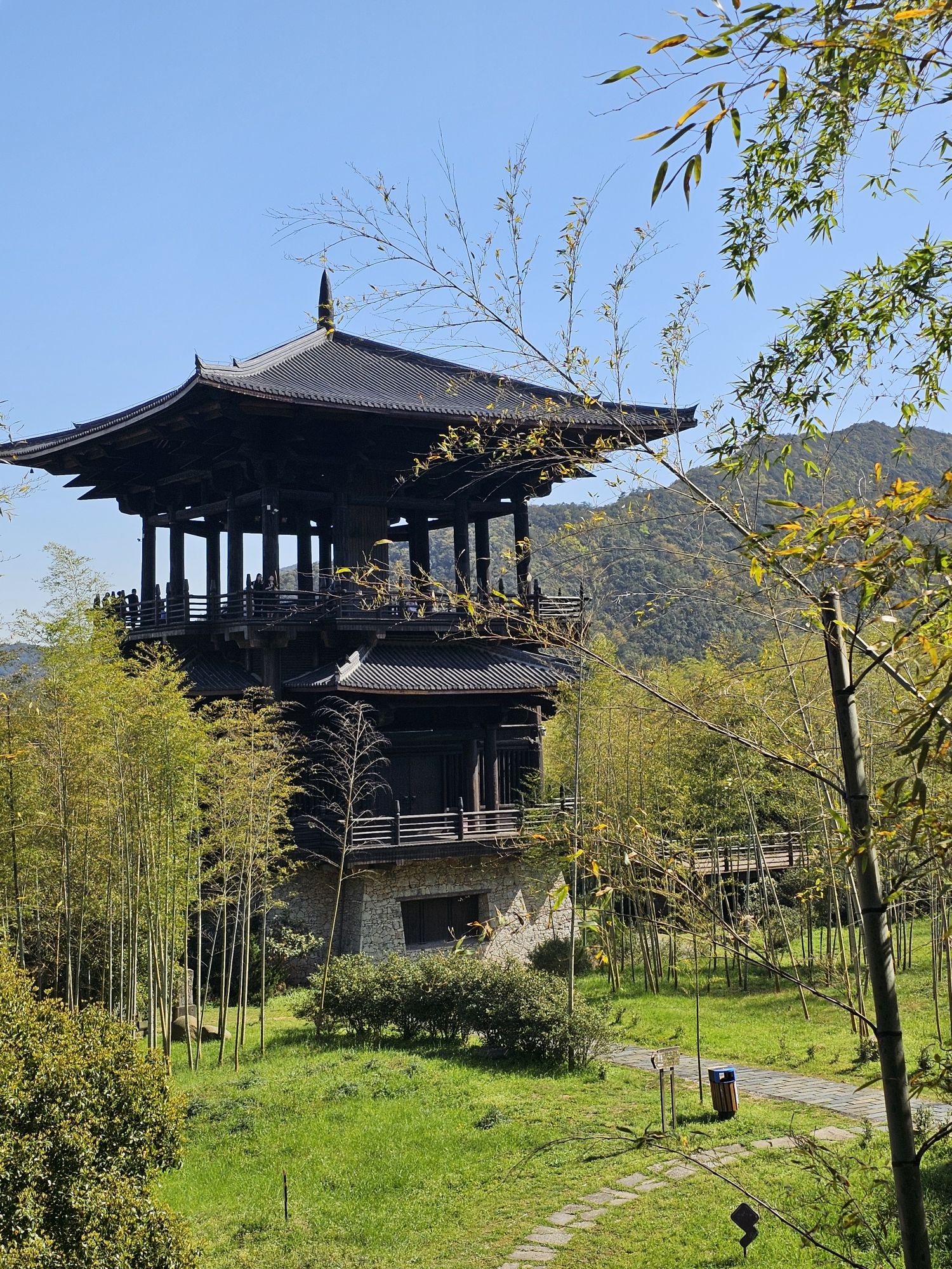 大唐贡茶院